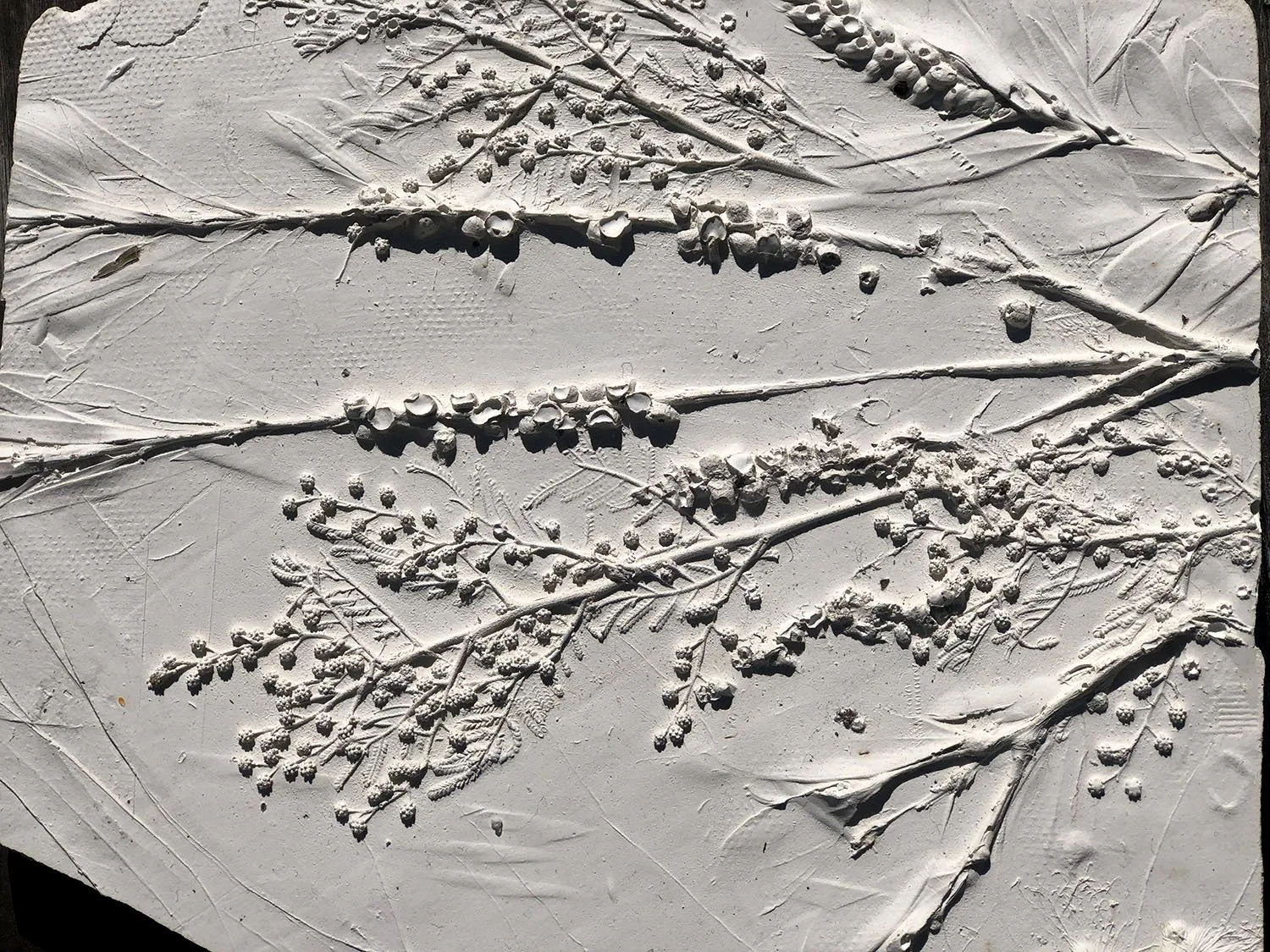 FF Texture Detail Clay.jpg