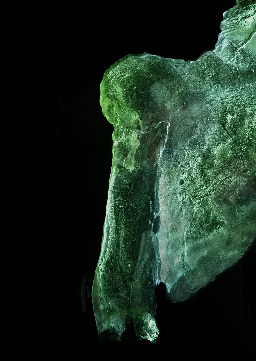 Little Fish Torso Detail Green.jpg