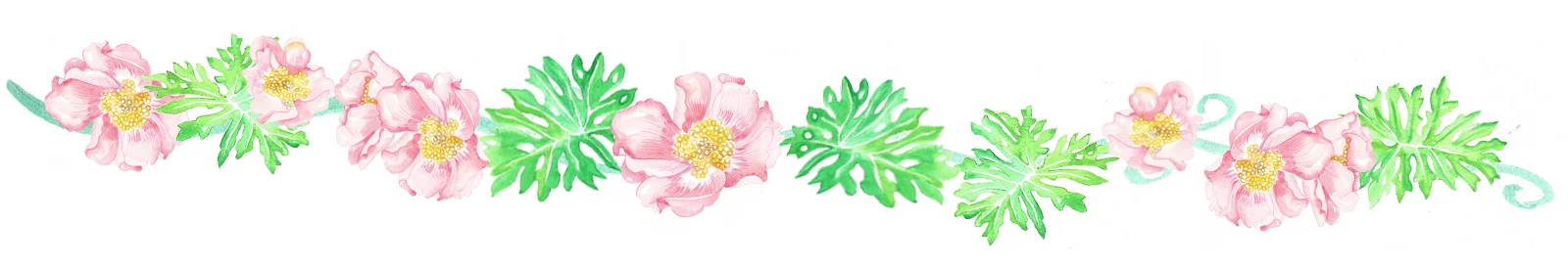 rosa de bayahibe.jpg