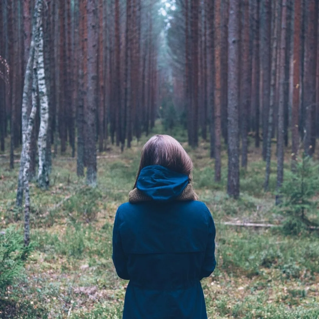 Simple Stress Reducer:  Forest Bathing