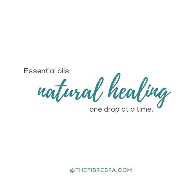 Don't be fooled by the sooting scent of lavender, Lavender angustifolia.
⠀⠀
This commonly used essential oil packs a powerful punch against bacteria isolated from patients with respiratory tract infection.
.
.
⠀⠀
While the main chemical components of