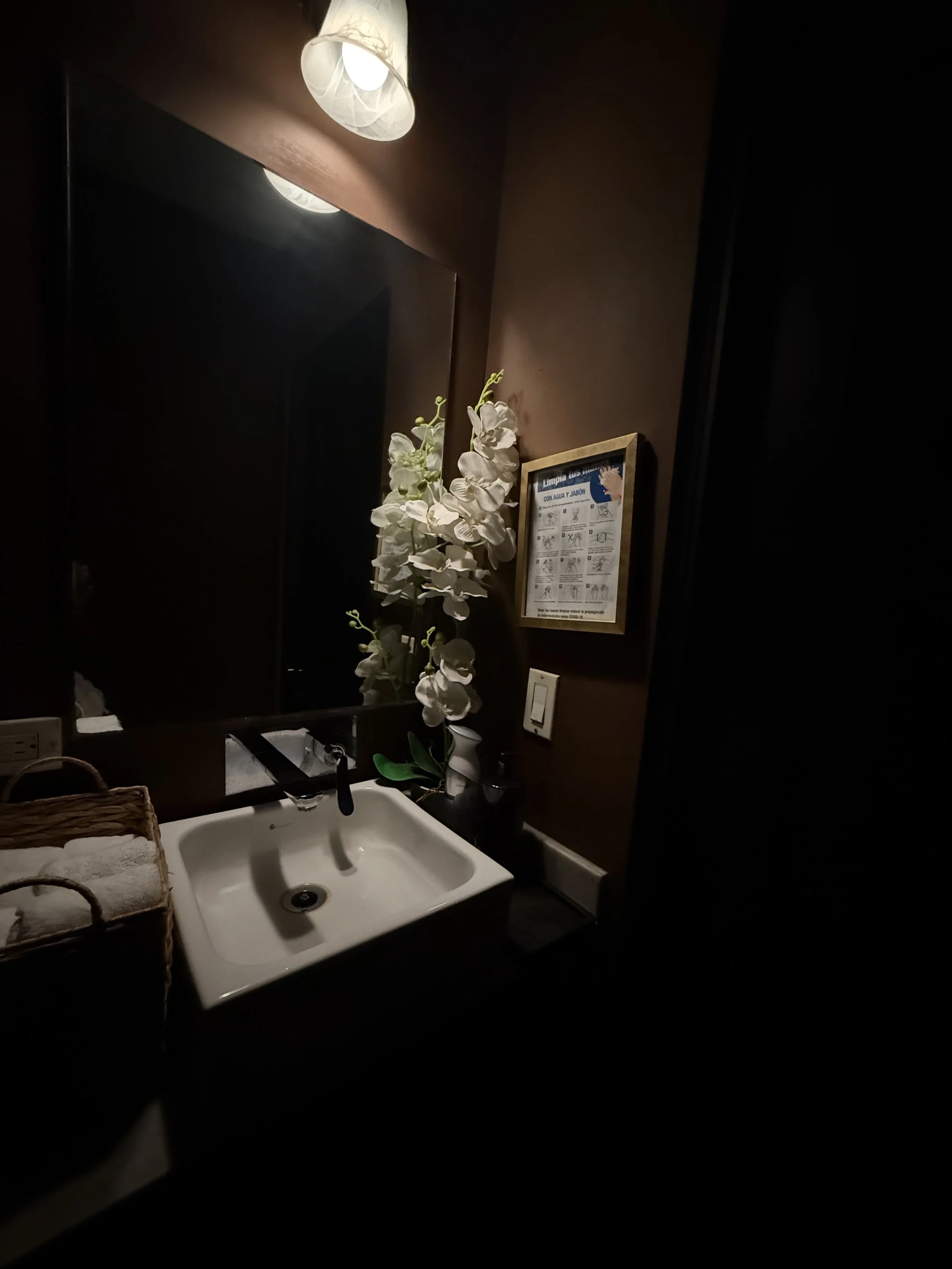CasaThaiOrchids.jpg