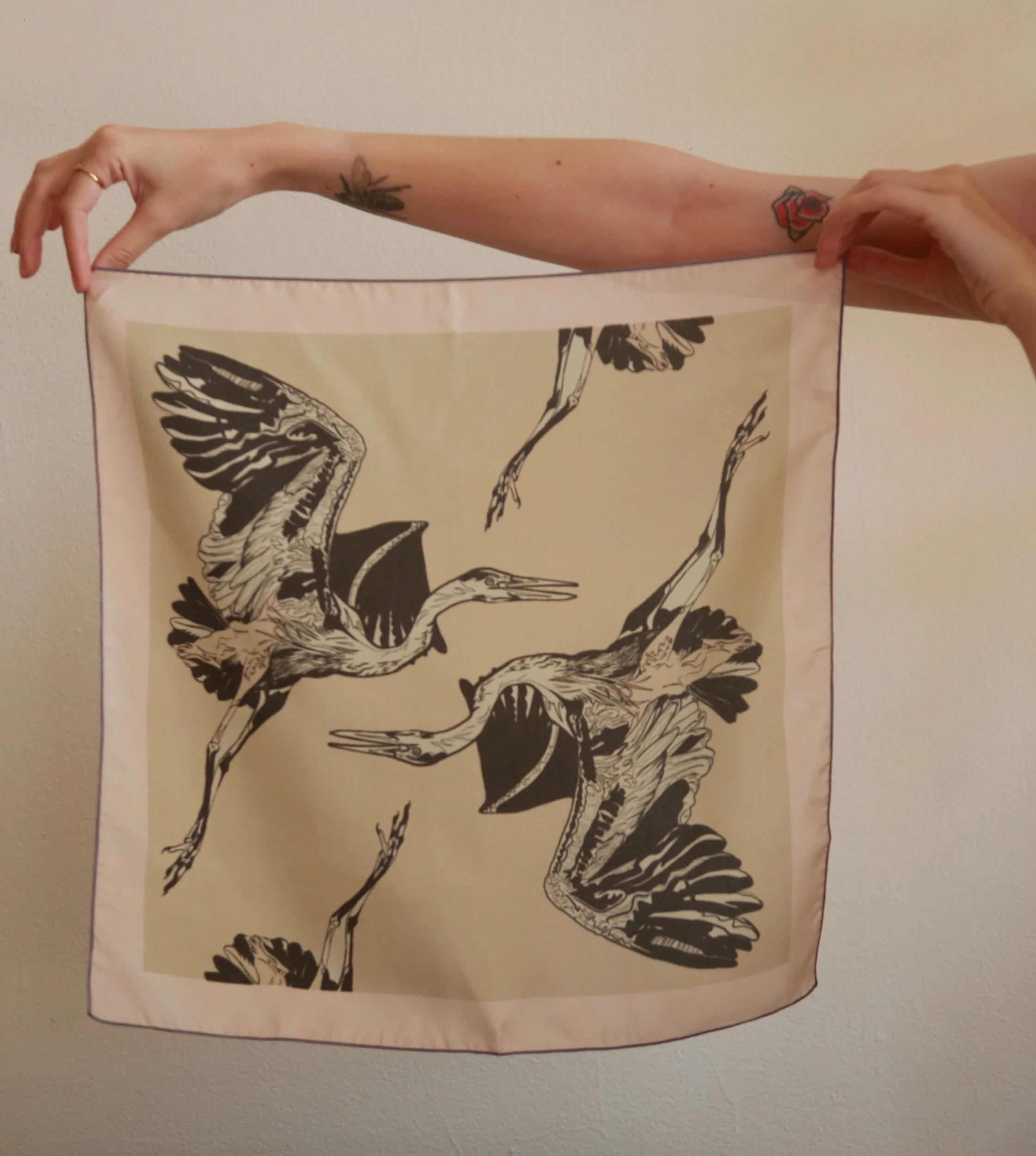 C80A029D-E456-4365-A6A9-18B0E775FF13