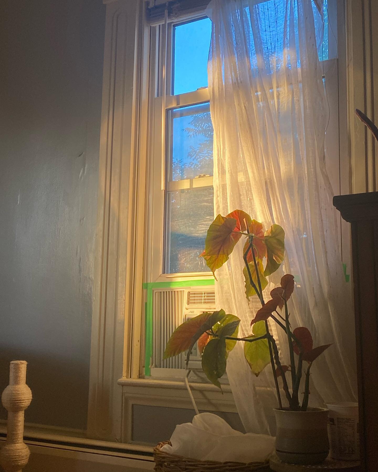 just a lil ode to @mooseshroom for letting me stay in her apartment when my maine trip / housing got turned upside down :&rsquo;) general post to appreciate friends n community and all the people I care about who care about me back&mdash;whether that