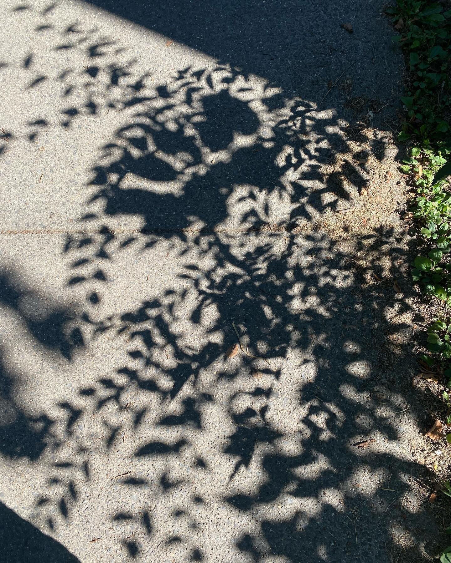 Shadow self inspo 🌿