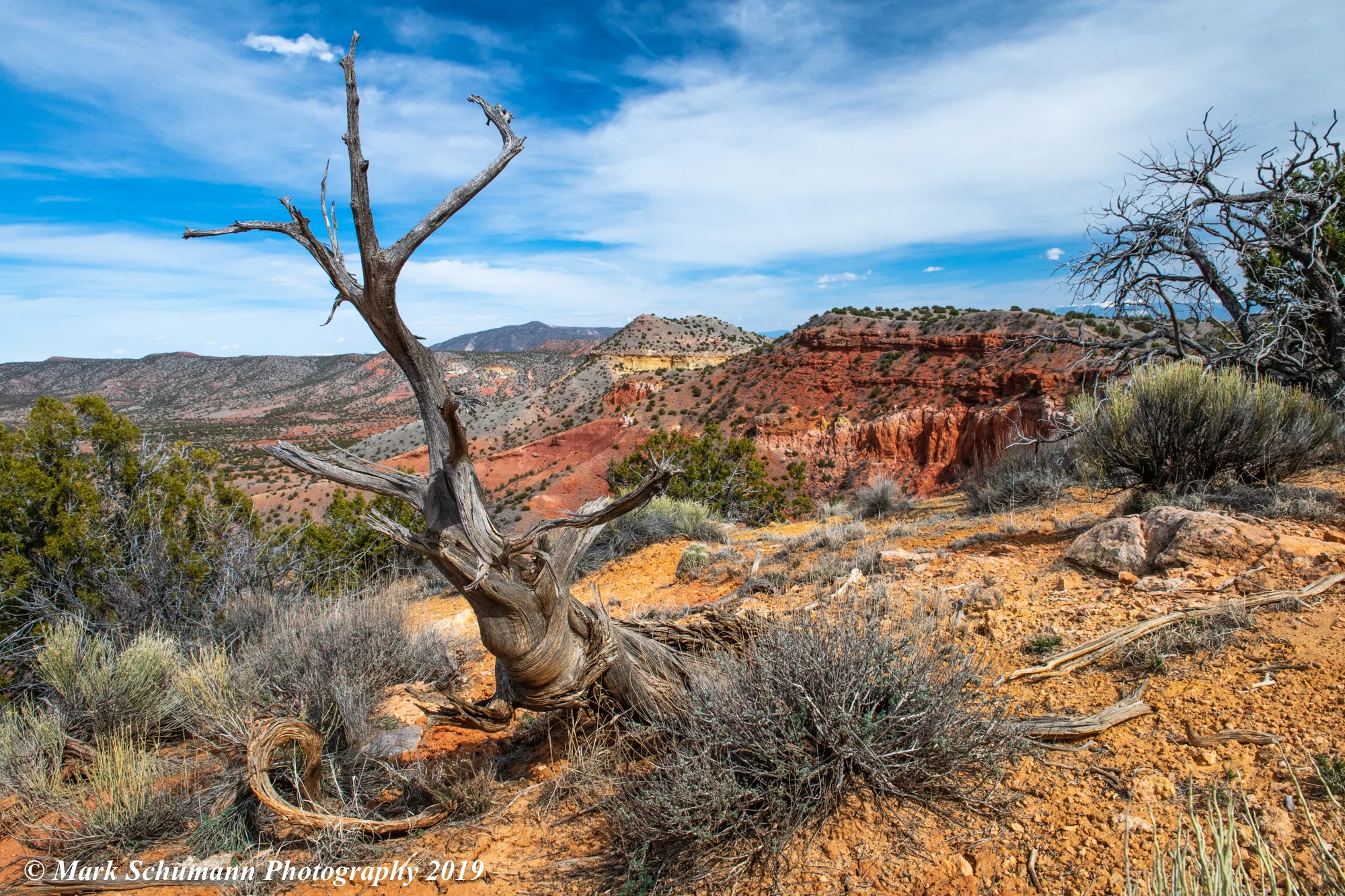Copper Canyon_6_032719.jpg