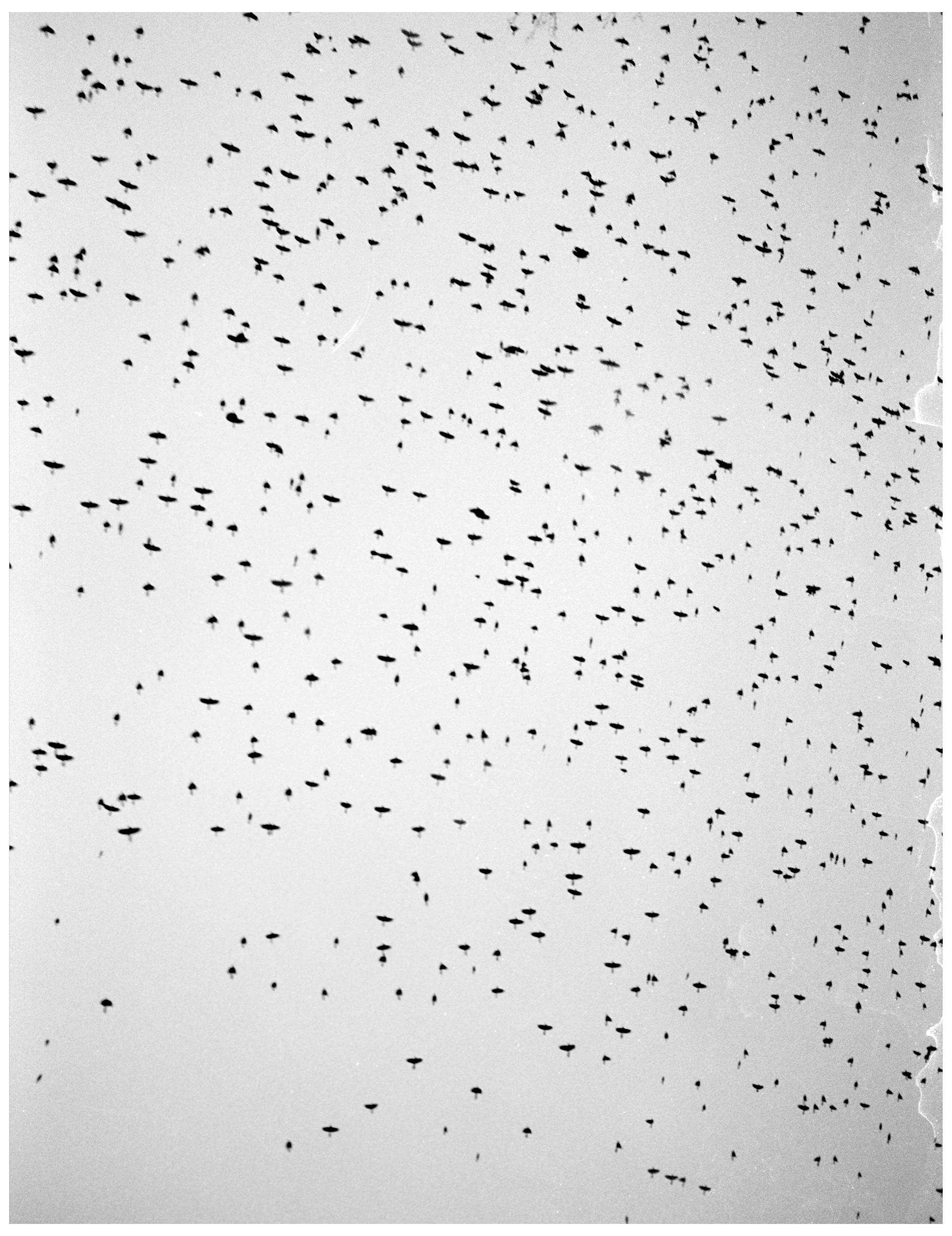 Untitled (35).jpg