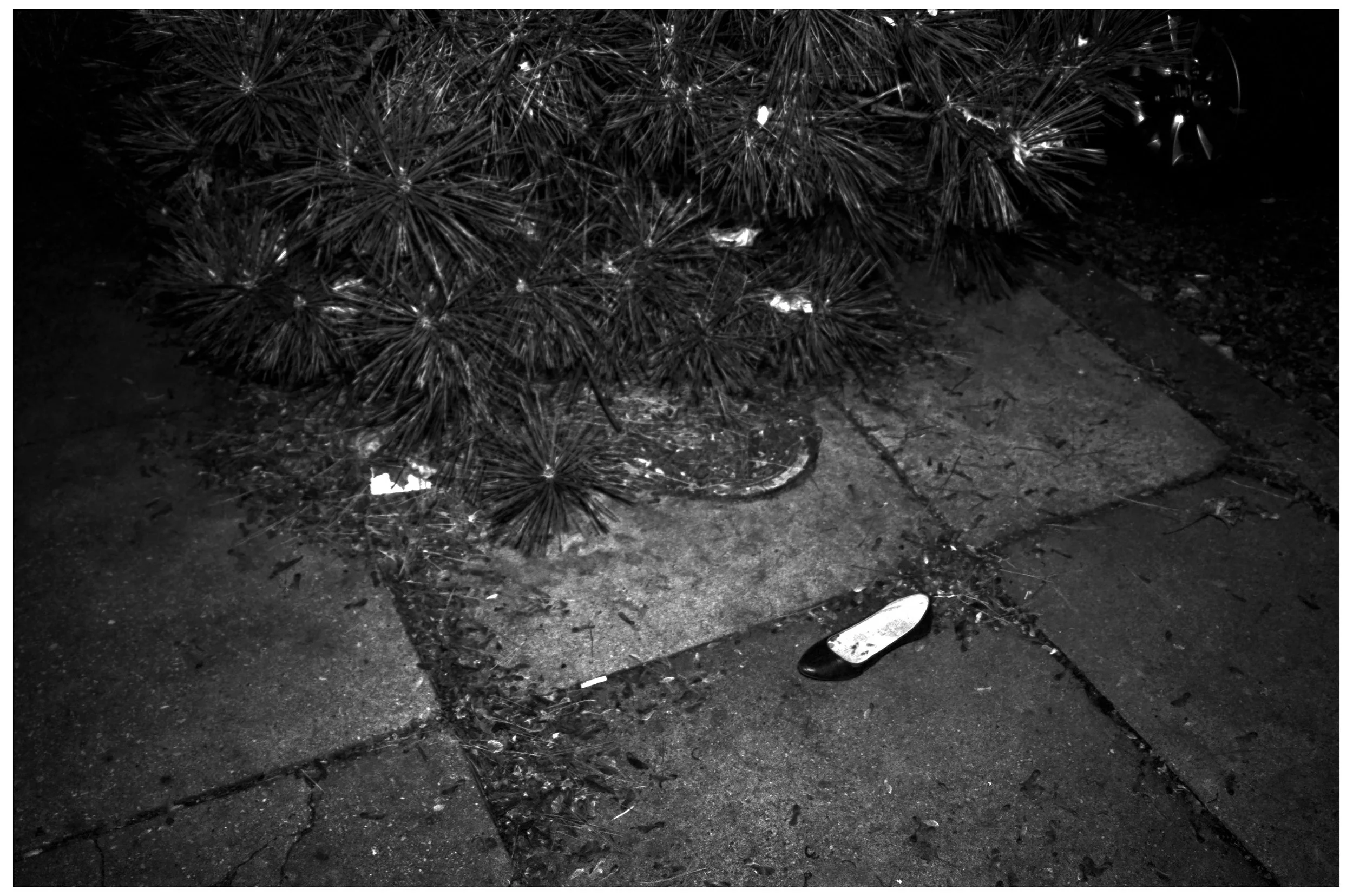 Untitled (43).jpg