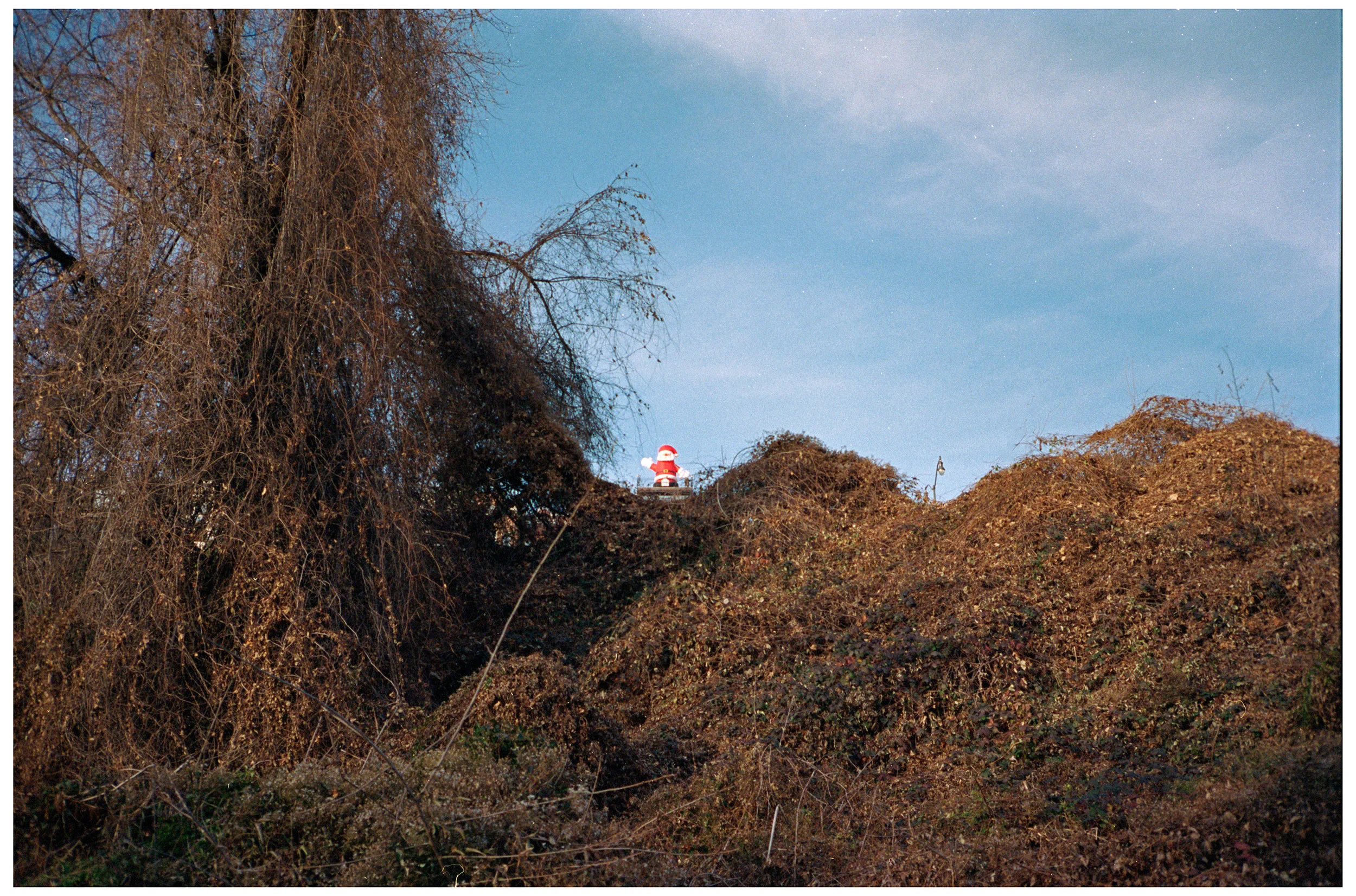 Untitled (32).jpg