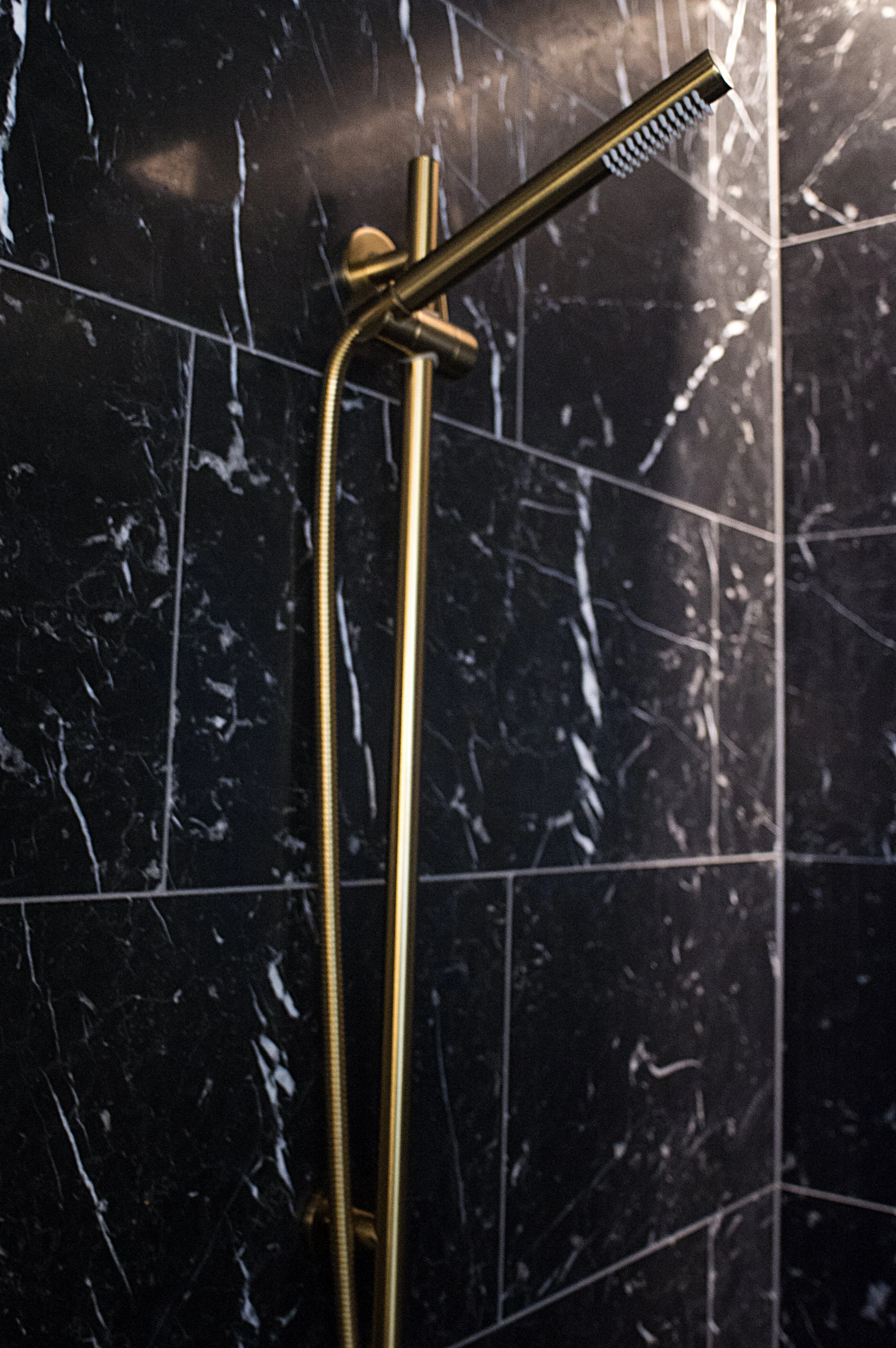 Check out that golden shower head. There was two in our bathroom!