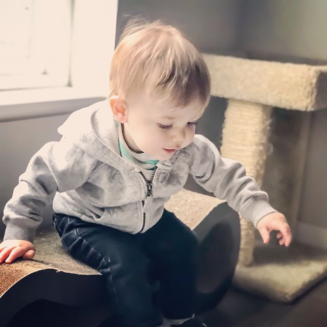 I blinked and he is all over the place! I love my little peanut so much.

#babyjack #jackmiddleton #blessed #boymom #pnw #pacificnorthwest #letthembelittle #mywhy