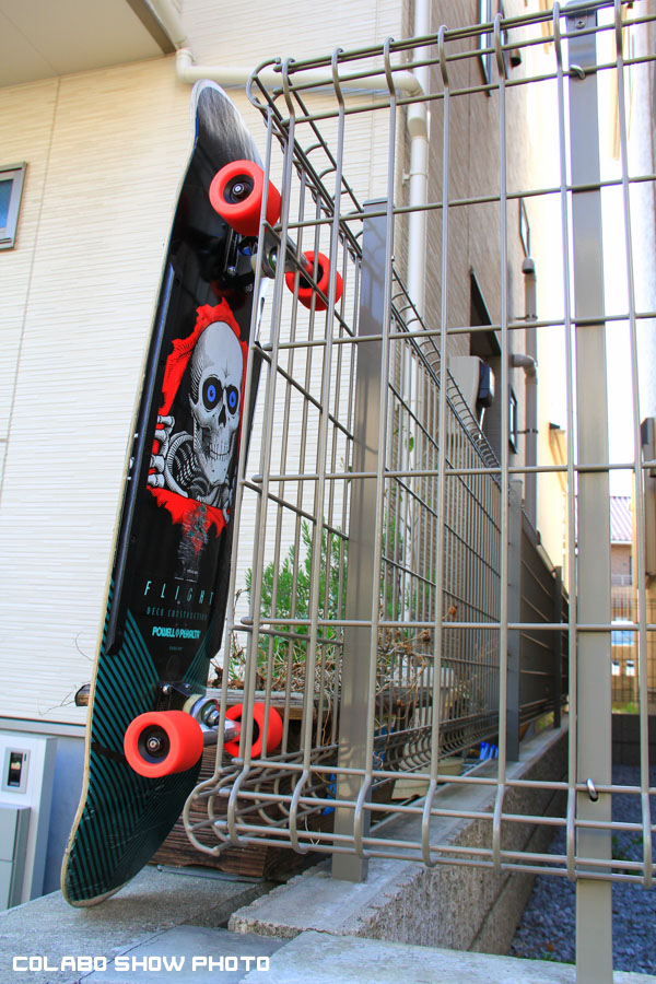 Powell Peralta 36 Flight-215indys-burnedbutgoodSNAKES--4.jpg