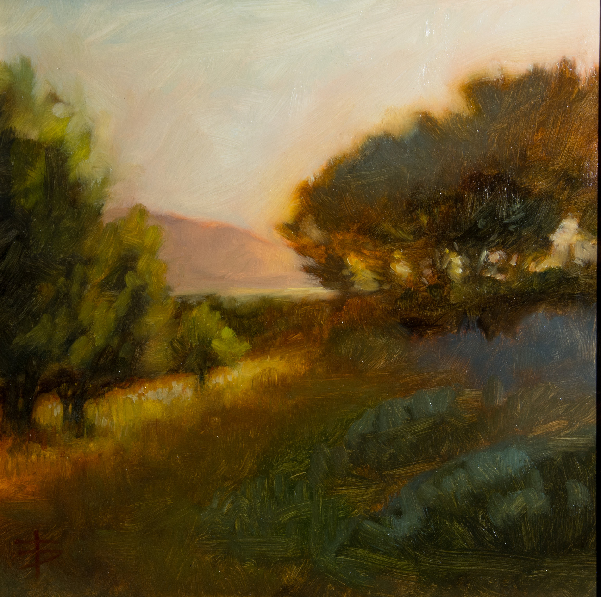 "Berkeley Sunset" 12 x 12, oil on canvas. $250 framed.
