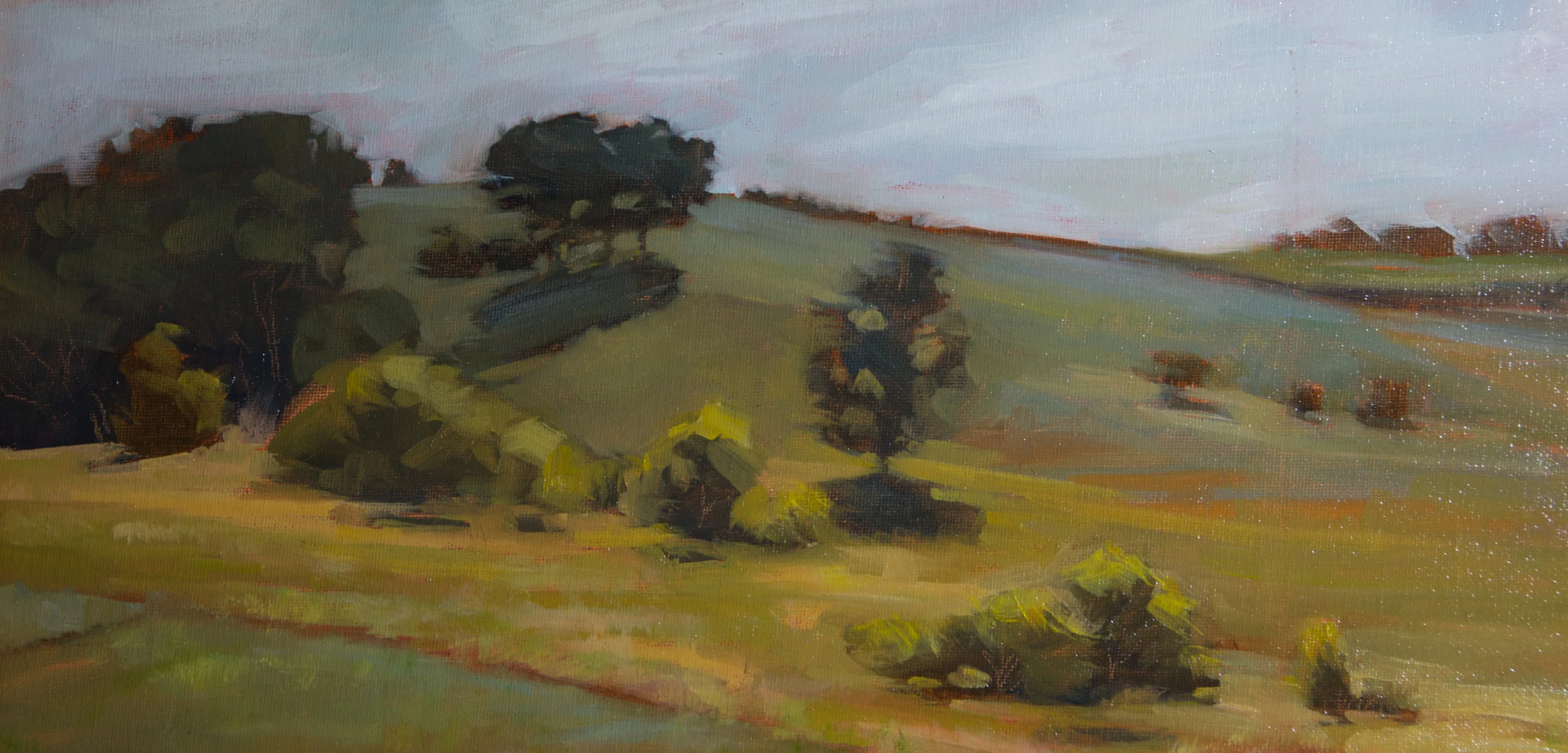 "Kelly's Field" 8 x 16 oil painting. $150 framed.