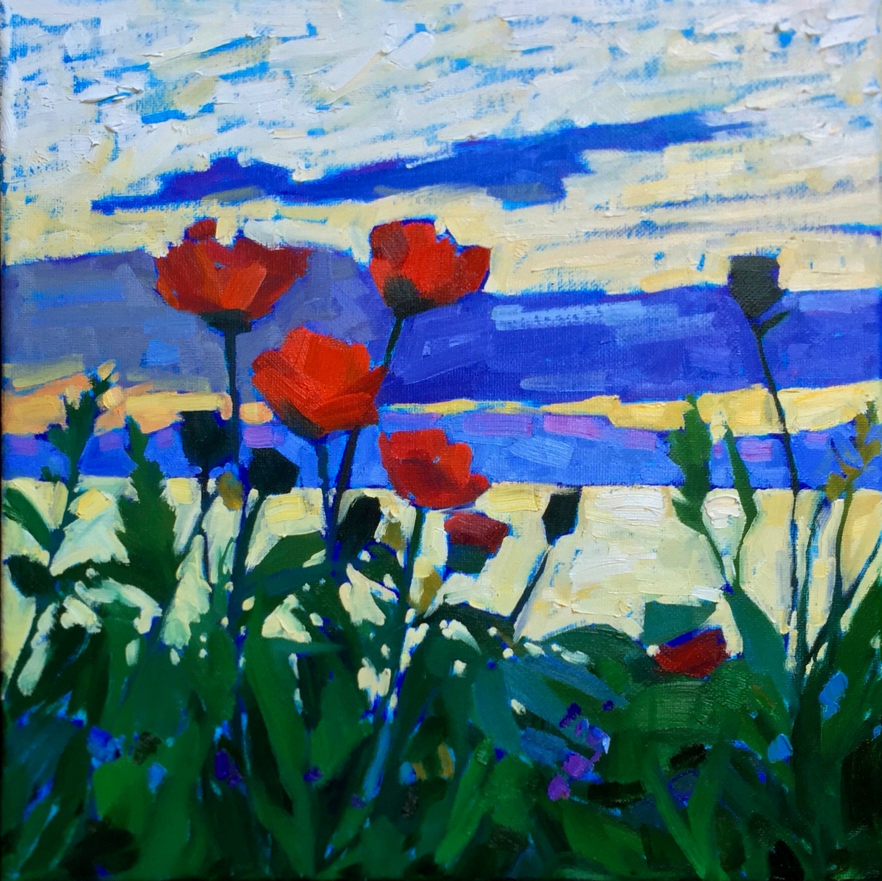 "The Poppies of St. Andrews" 12 x 12" oil painting. $350, framed.