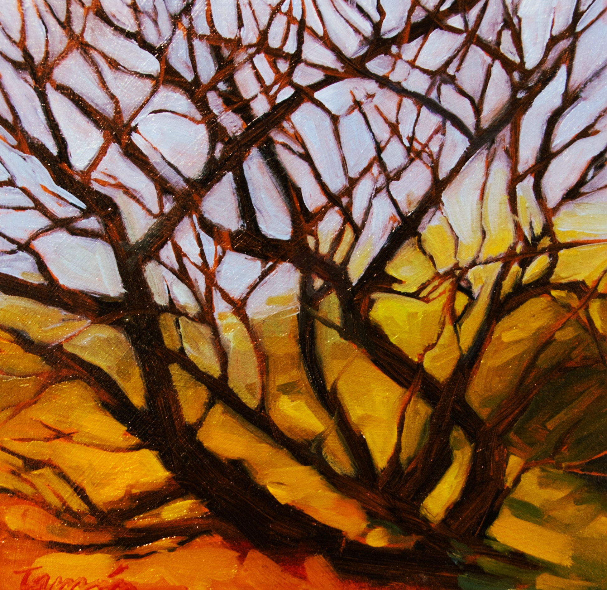 "Stradbroke Island Tree" 10 x 10" oil painting. SOLD