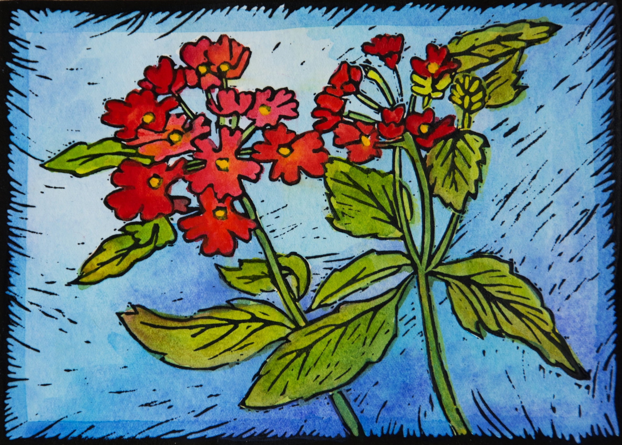 "Maltese Cross" hand-colored relief print. 8 x 10". $100 matted.