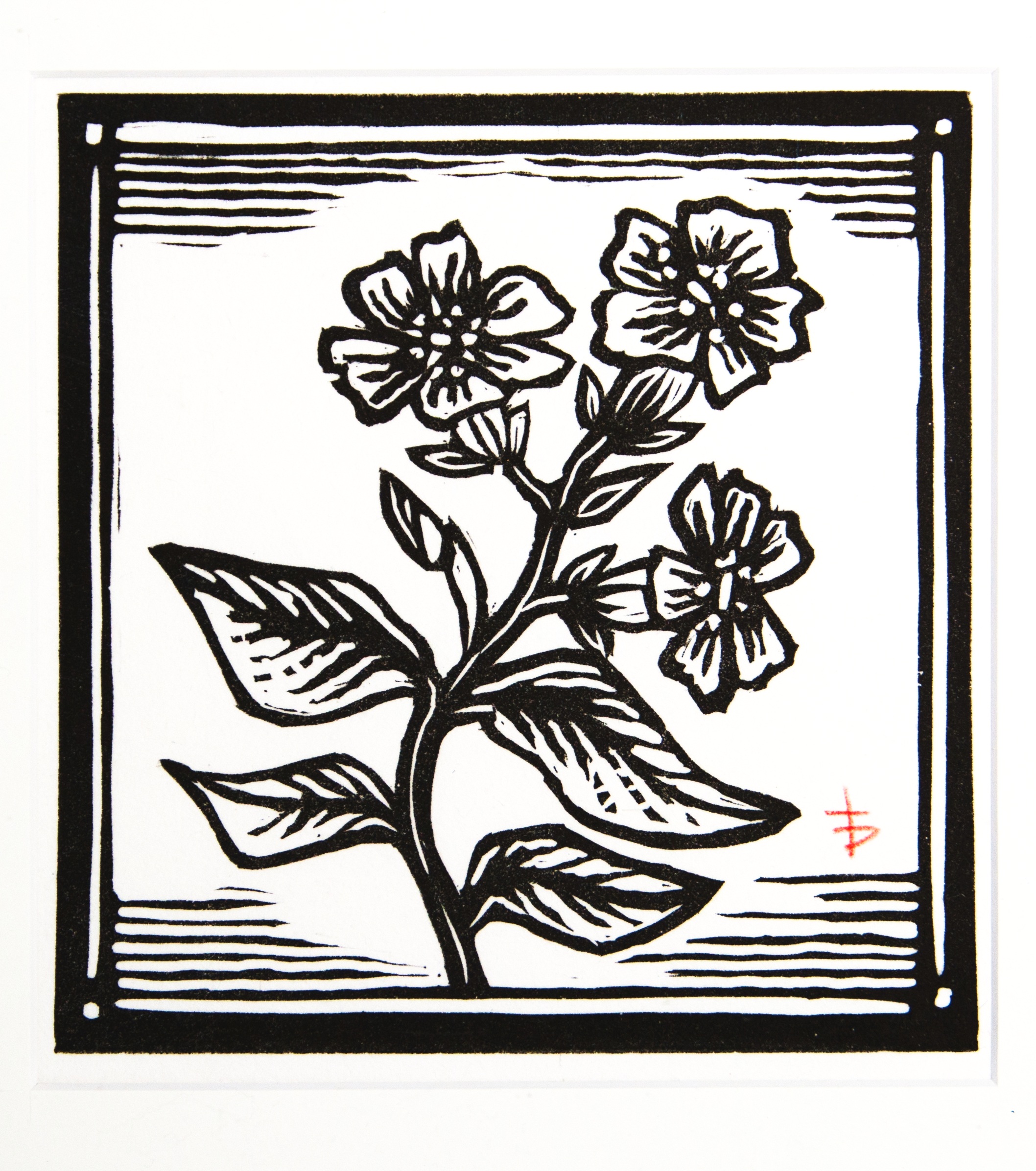 "Wild Geraniums" 5 x 7" linocut on mulberry paper. $40, unmatted.