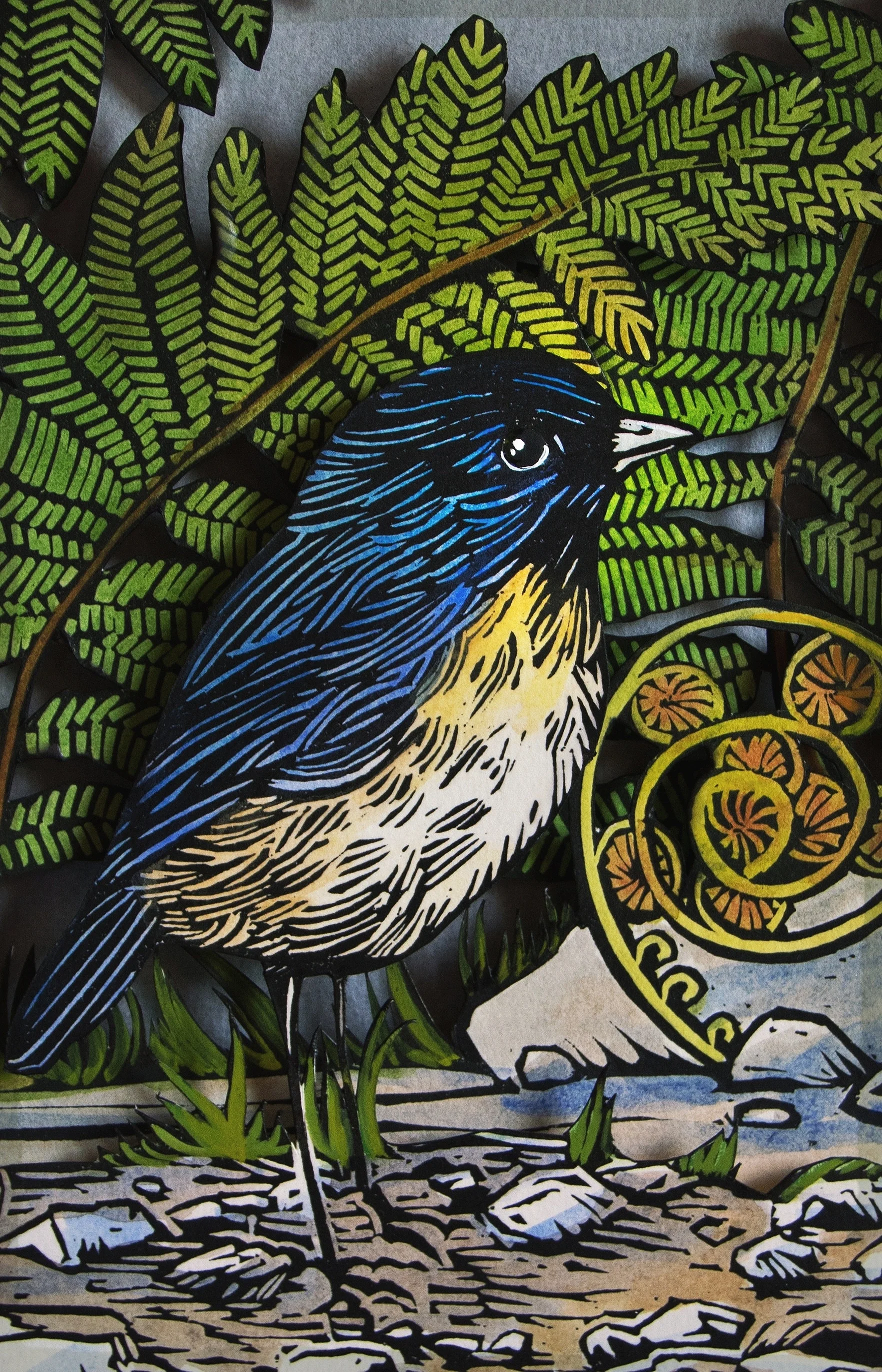 "South Island Robin" 3-D hand-colored relief print. 16 x 20", $395, framed only.