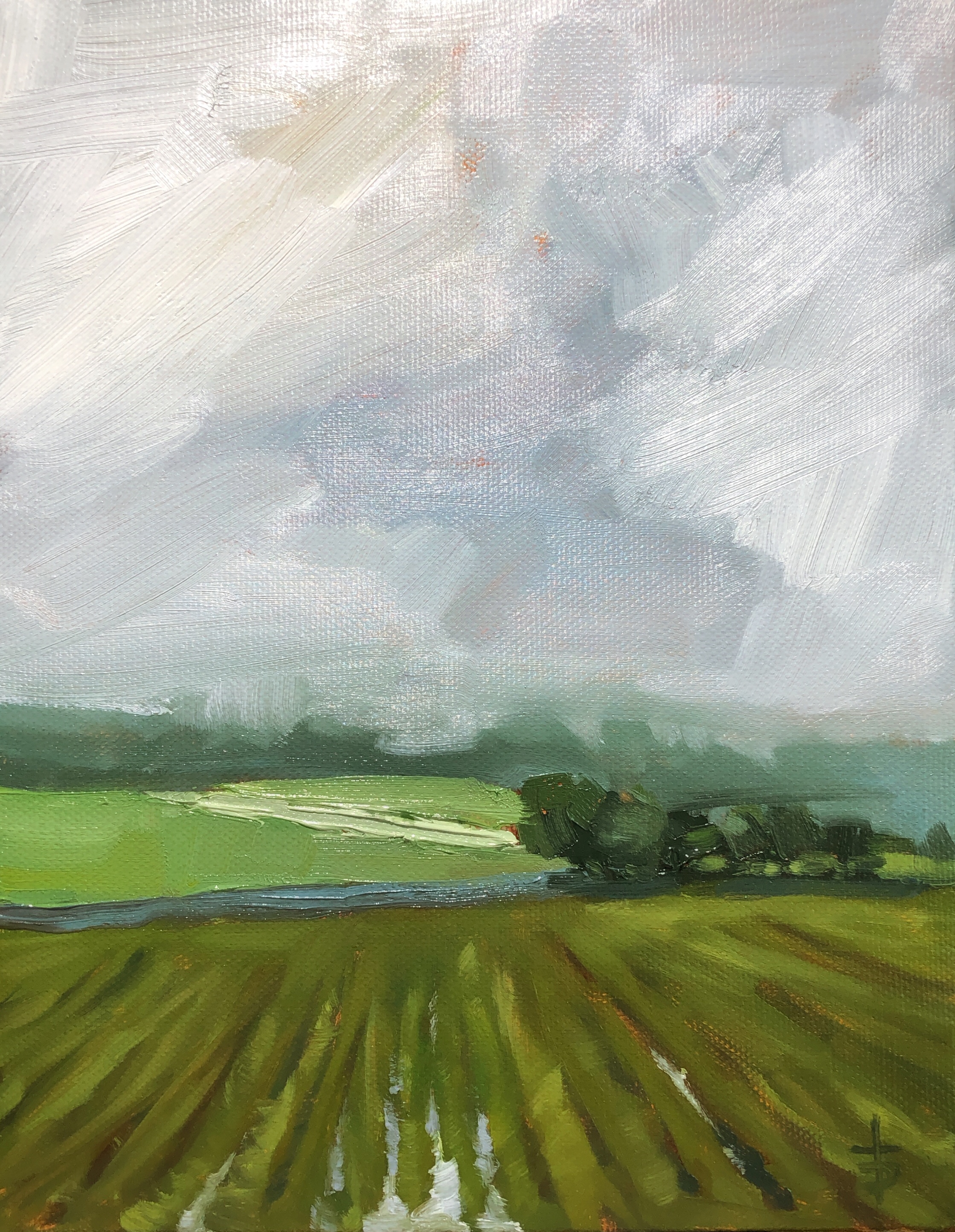 "The Wet Summer" oil on canvas, 8 x 10", $100