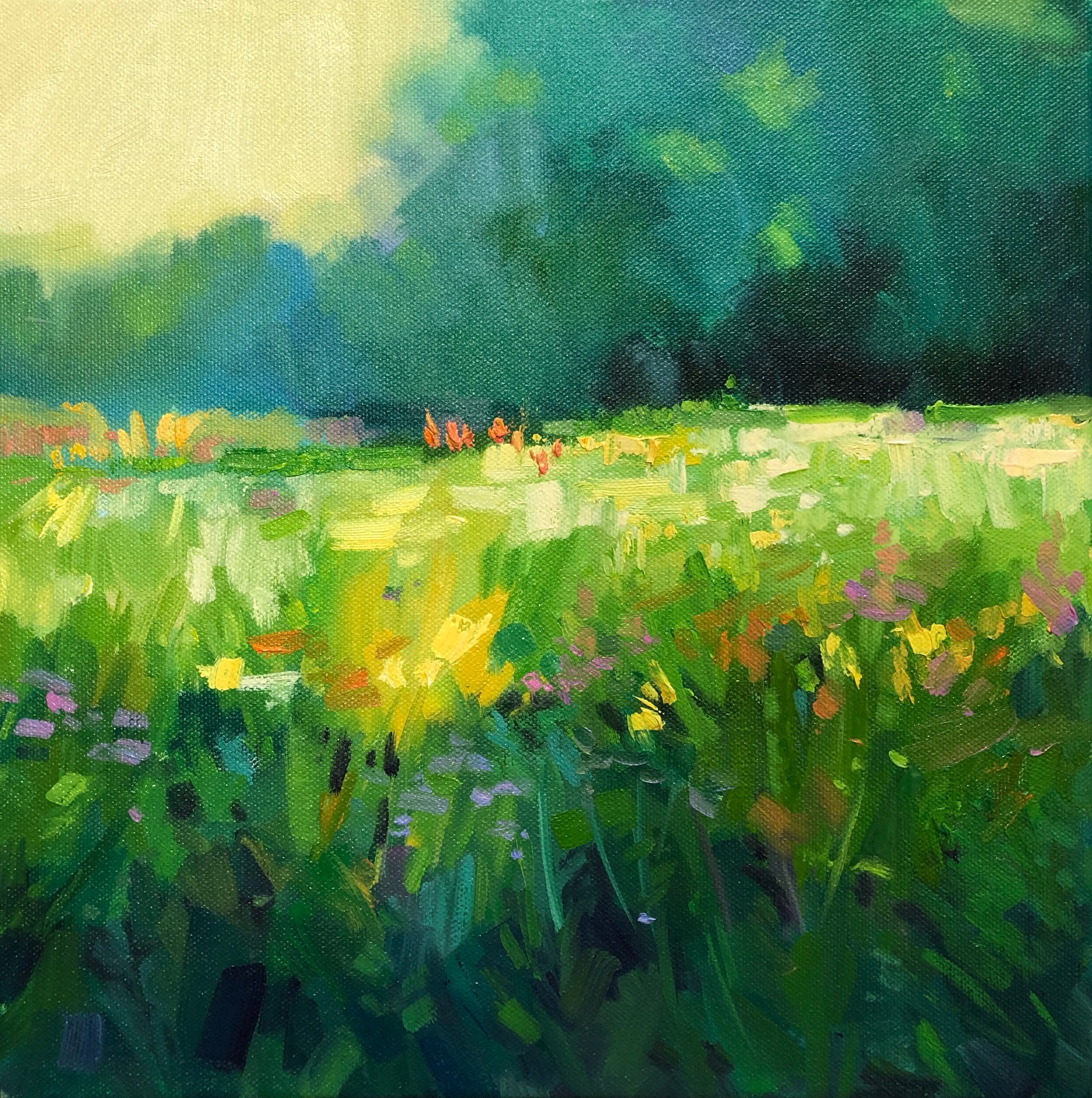 "The West Meadow" oil on canvas, 12 x 12", $450