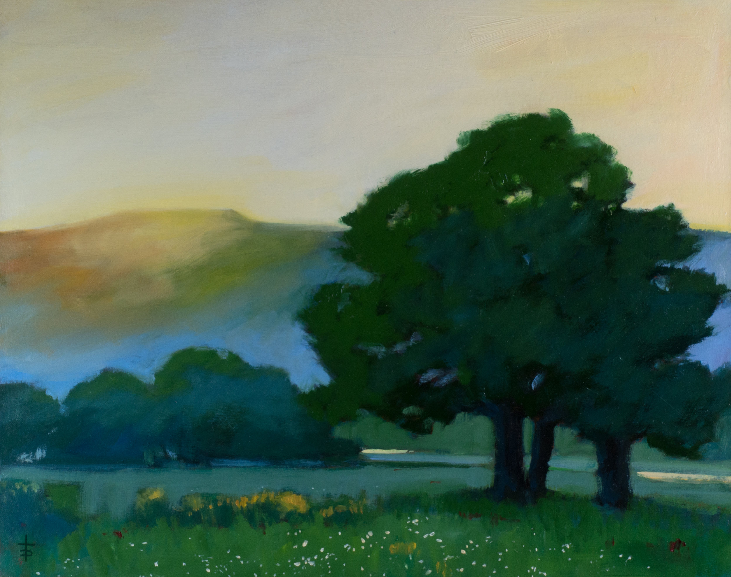 "Sunset Over Catbells Fell, Lake District" oil on canvas, 16 x 20", $525
