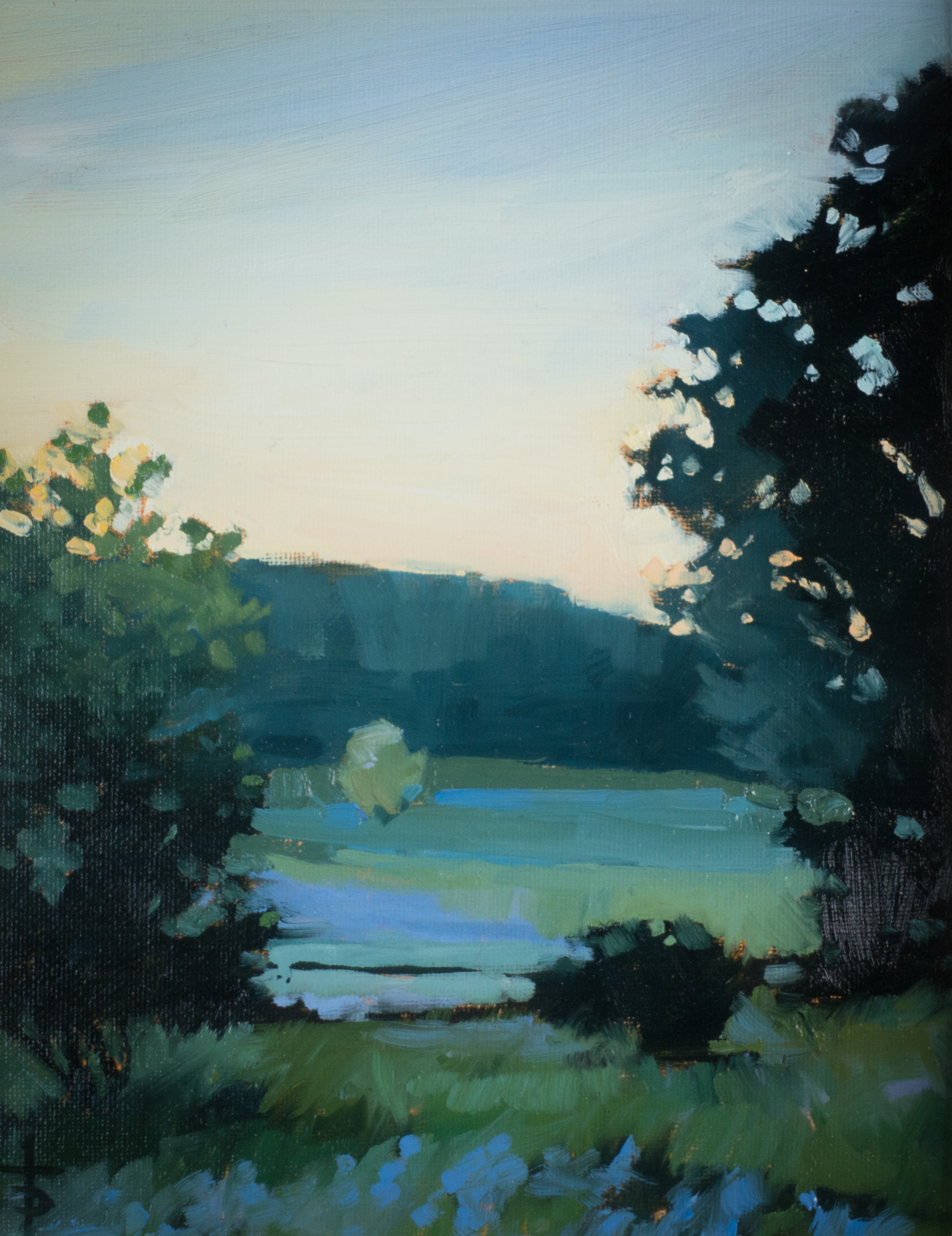"Ariel's Dale" 8 x 10", oil on canvas, $150