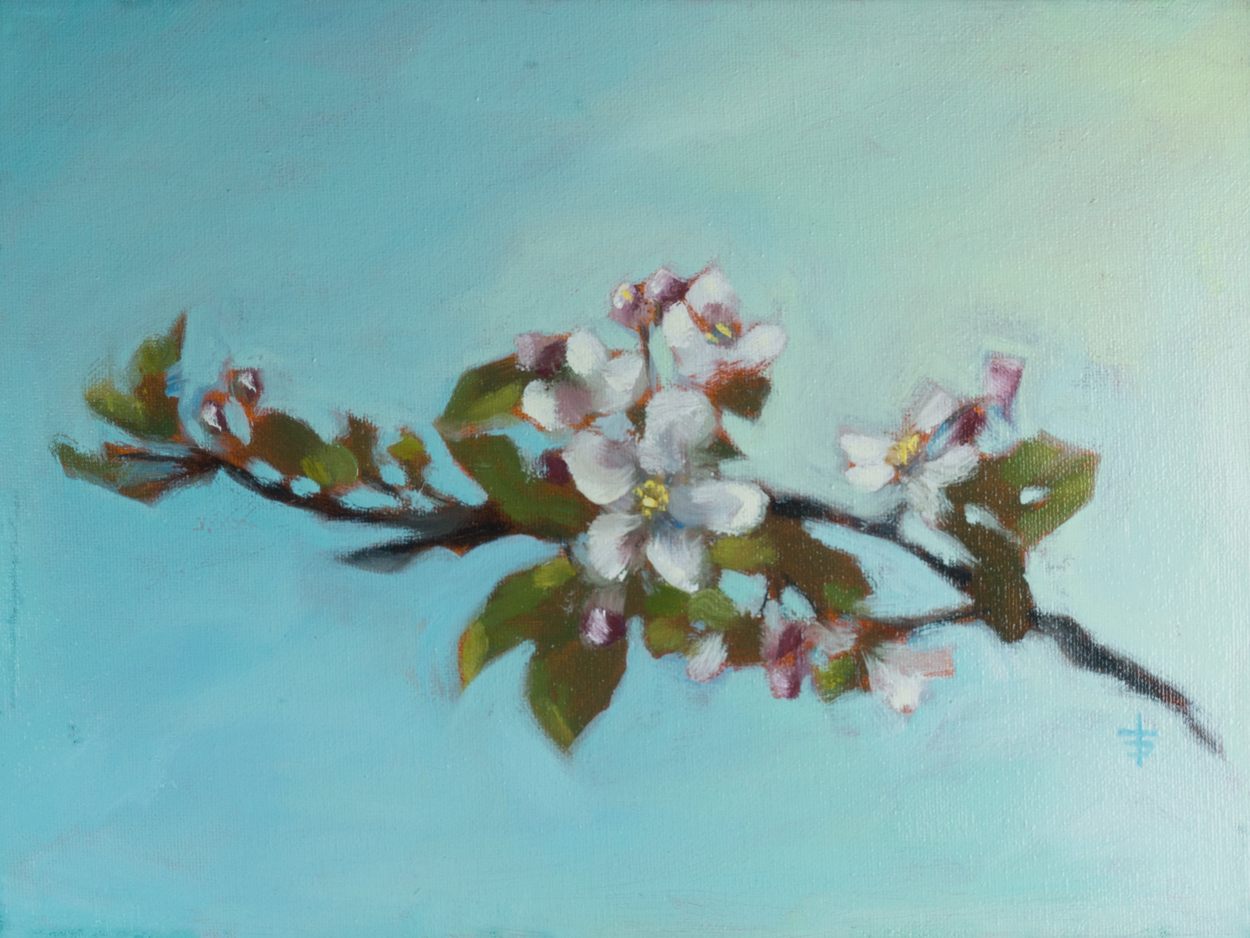"The Branch of Blossoms" 9 x 12", oil on canvas, $145