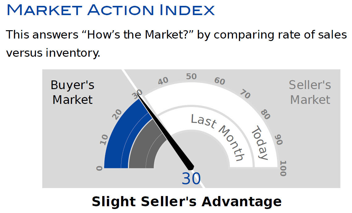 SFR_CDM_Market Action Index.jpg