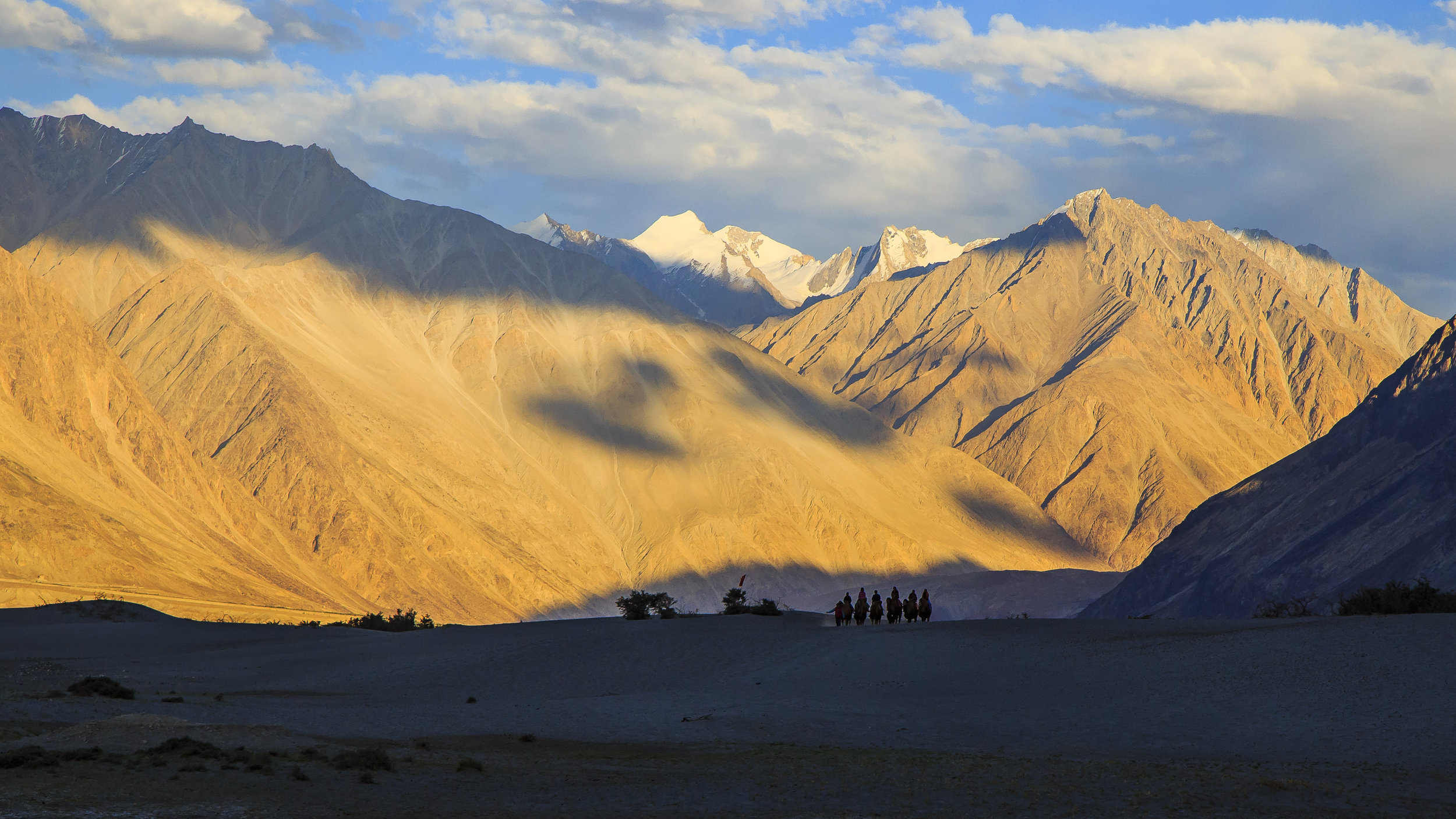 Double hump bactrian camel riders of Karakoram ranges