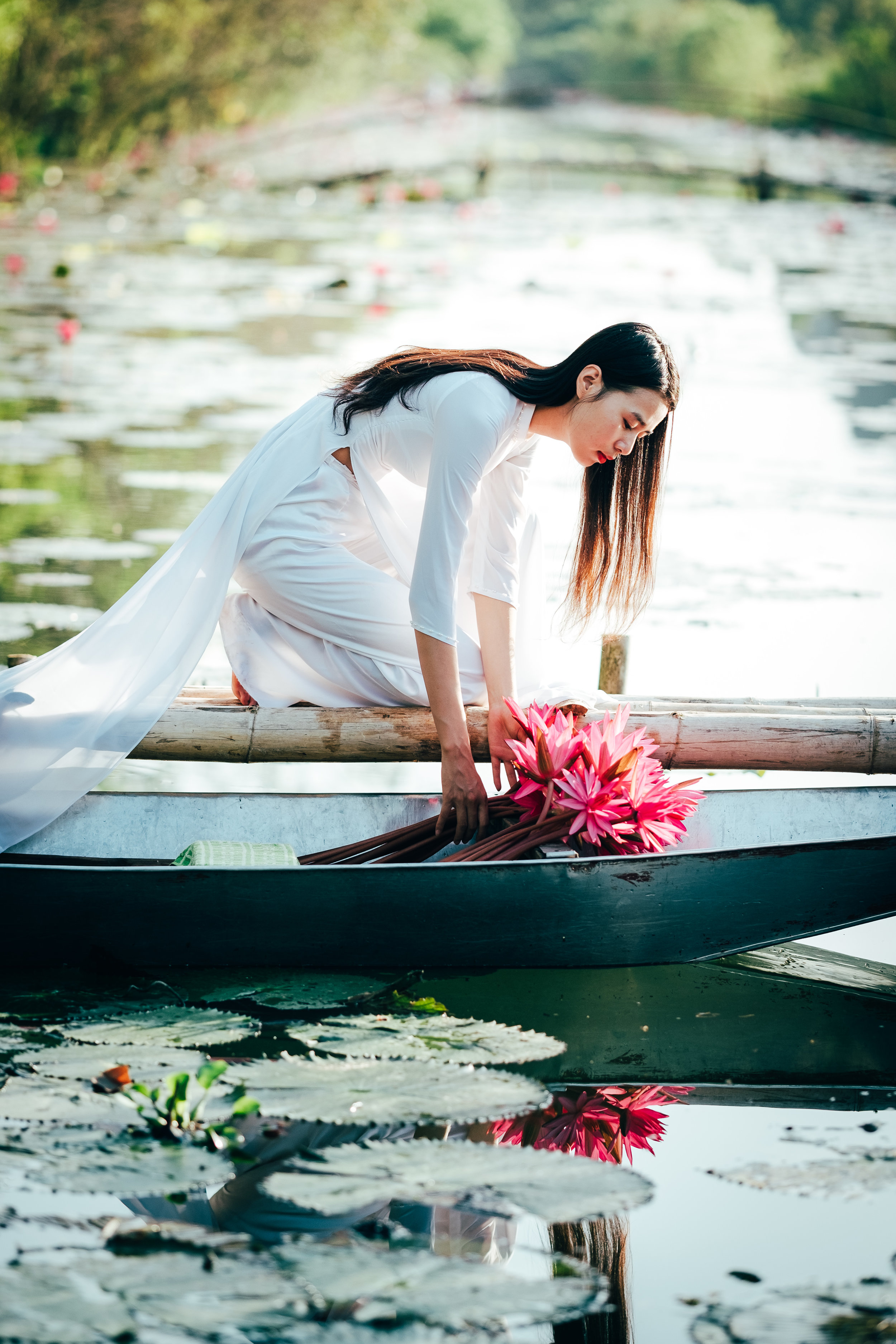 Vietnam model in traditional dress collecting lotus