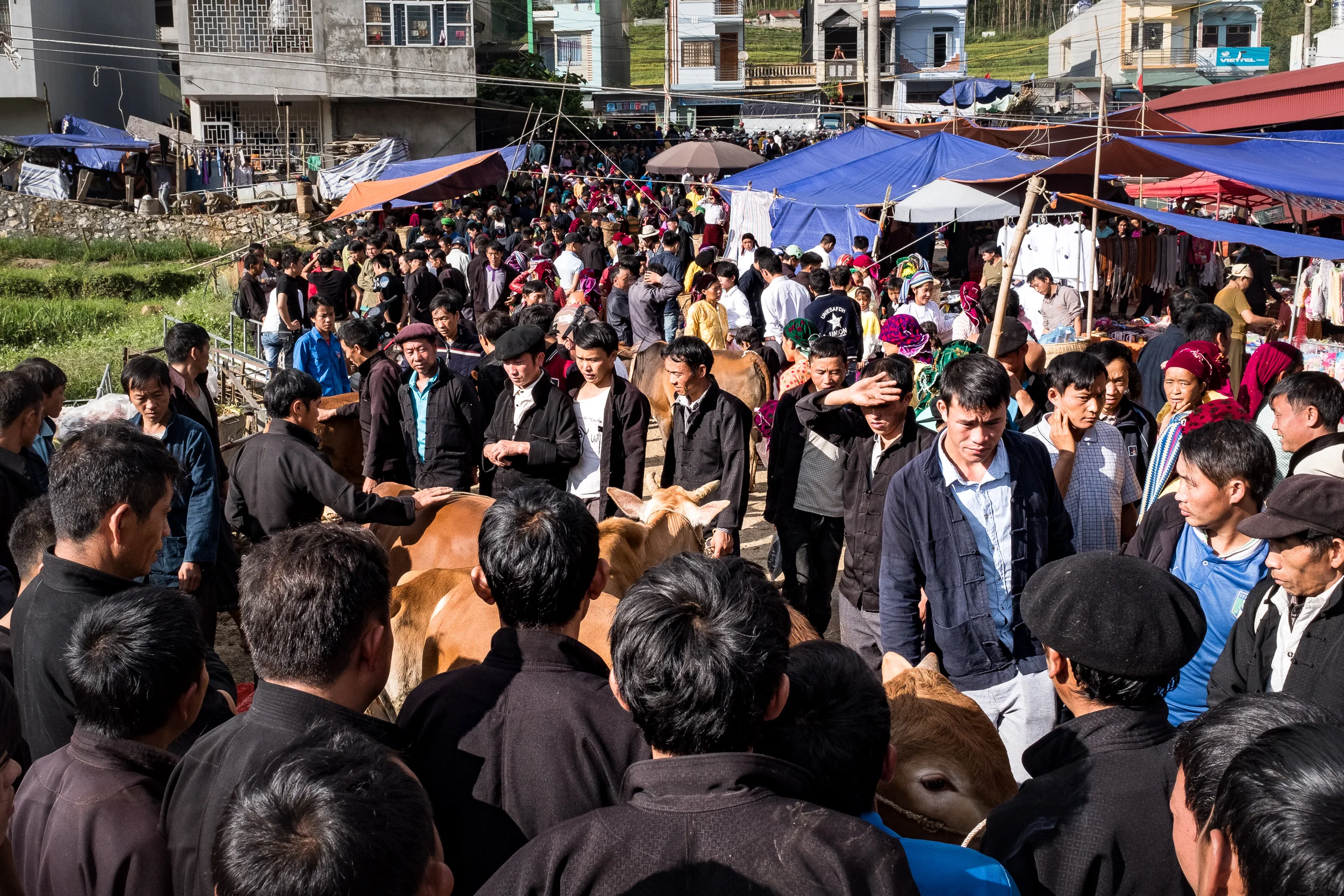 Large crowd gathered in Dong van minority market in Northern Vie