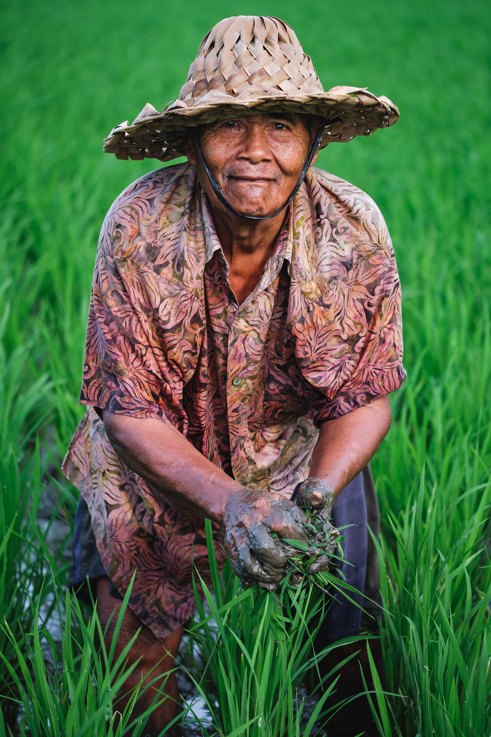 A curious farmer in ubud, Bali - Indonesia.