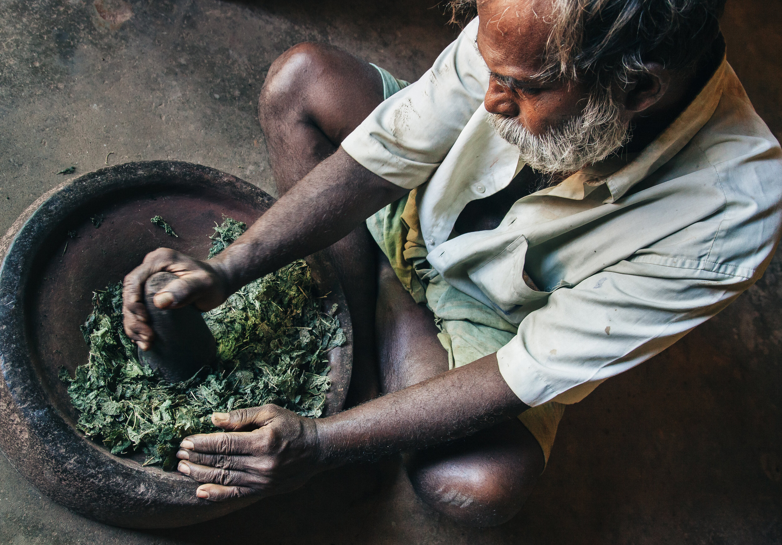 A helper to a local ayurvedic physician is grinding herbal leave