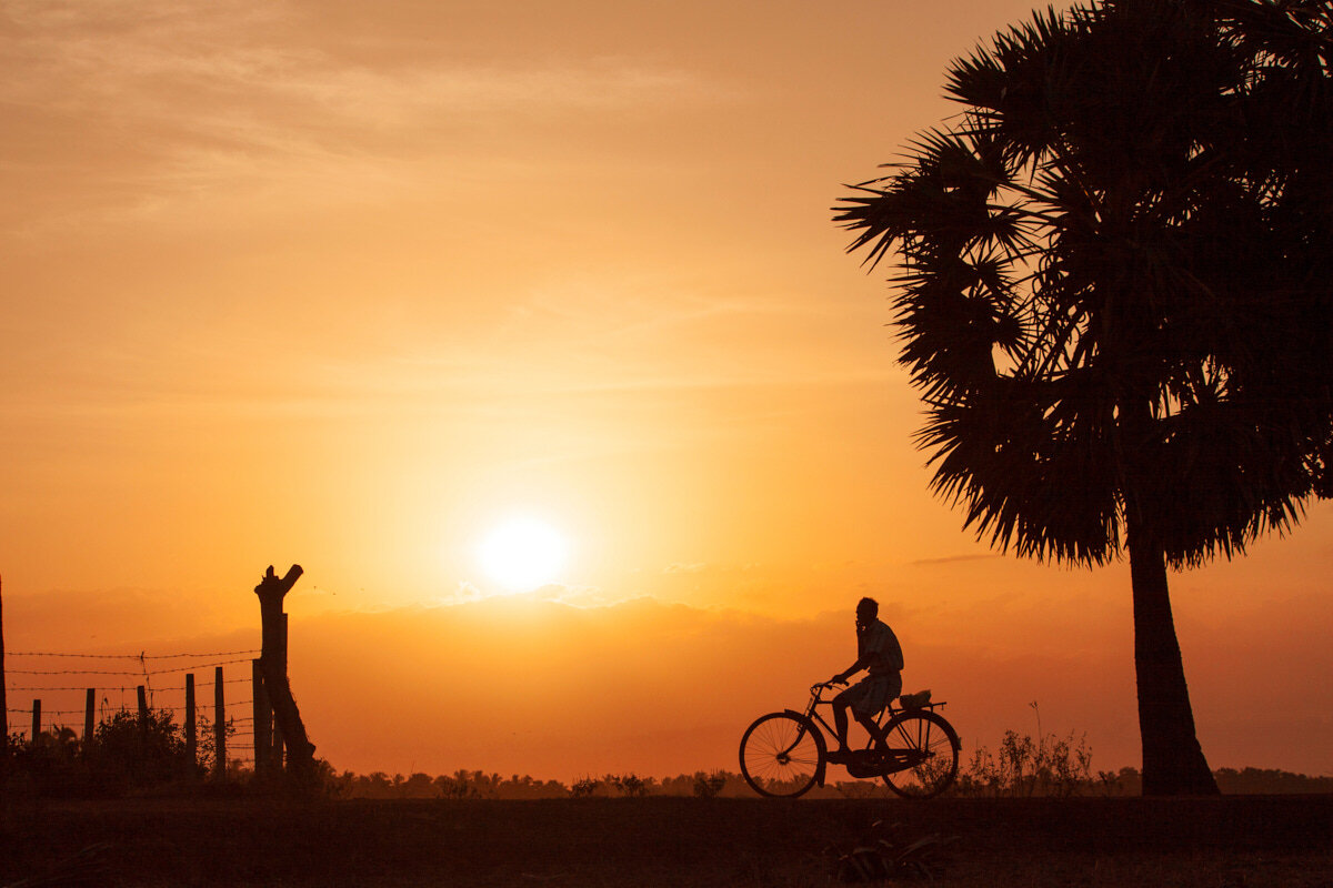  Silhouette of a man riding bicycle with a cigarette in one hand at sunset - Sri Lanka 