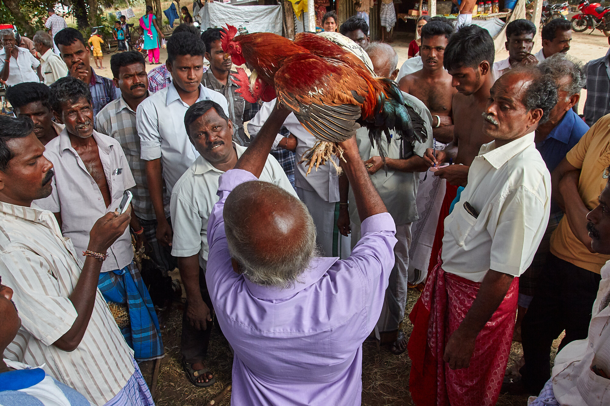  The birds collected as offerings during the journey are being sold at an auction near a village market en-route to the temple. 