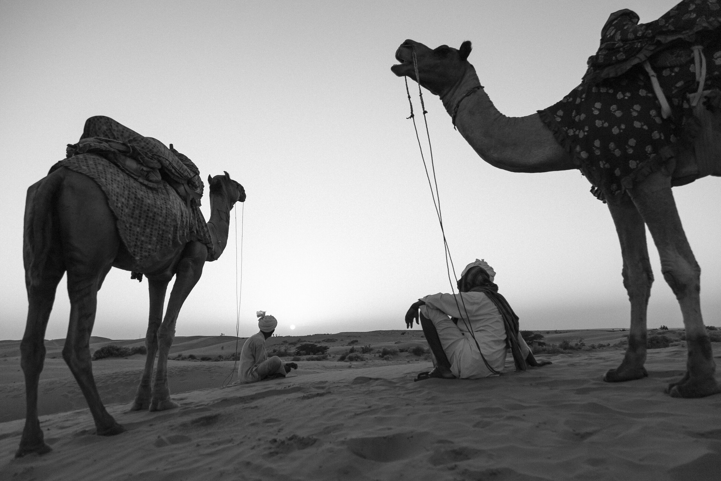 Camelmen resting and enjoying a sunset at Sam dunes of famous Th