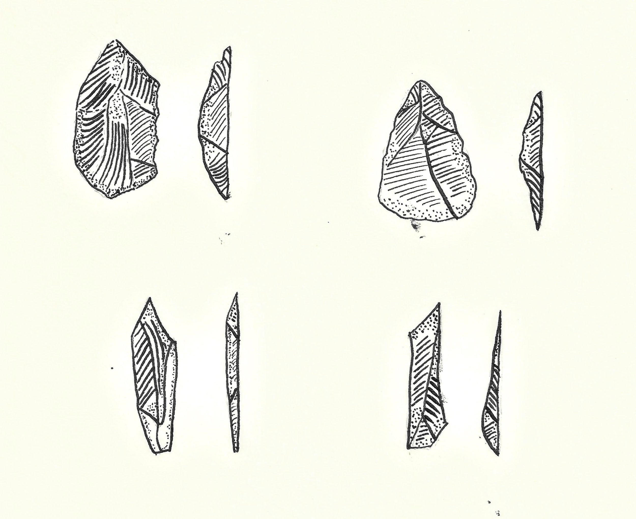Copy of Copy of As stone tools evolved, they got smaller during the middle palaeolithic period-- a bit like the shrinking sizes of mobile phones and laptops of today.