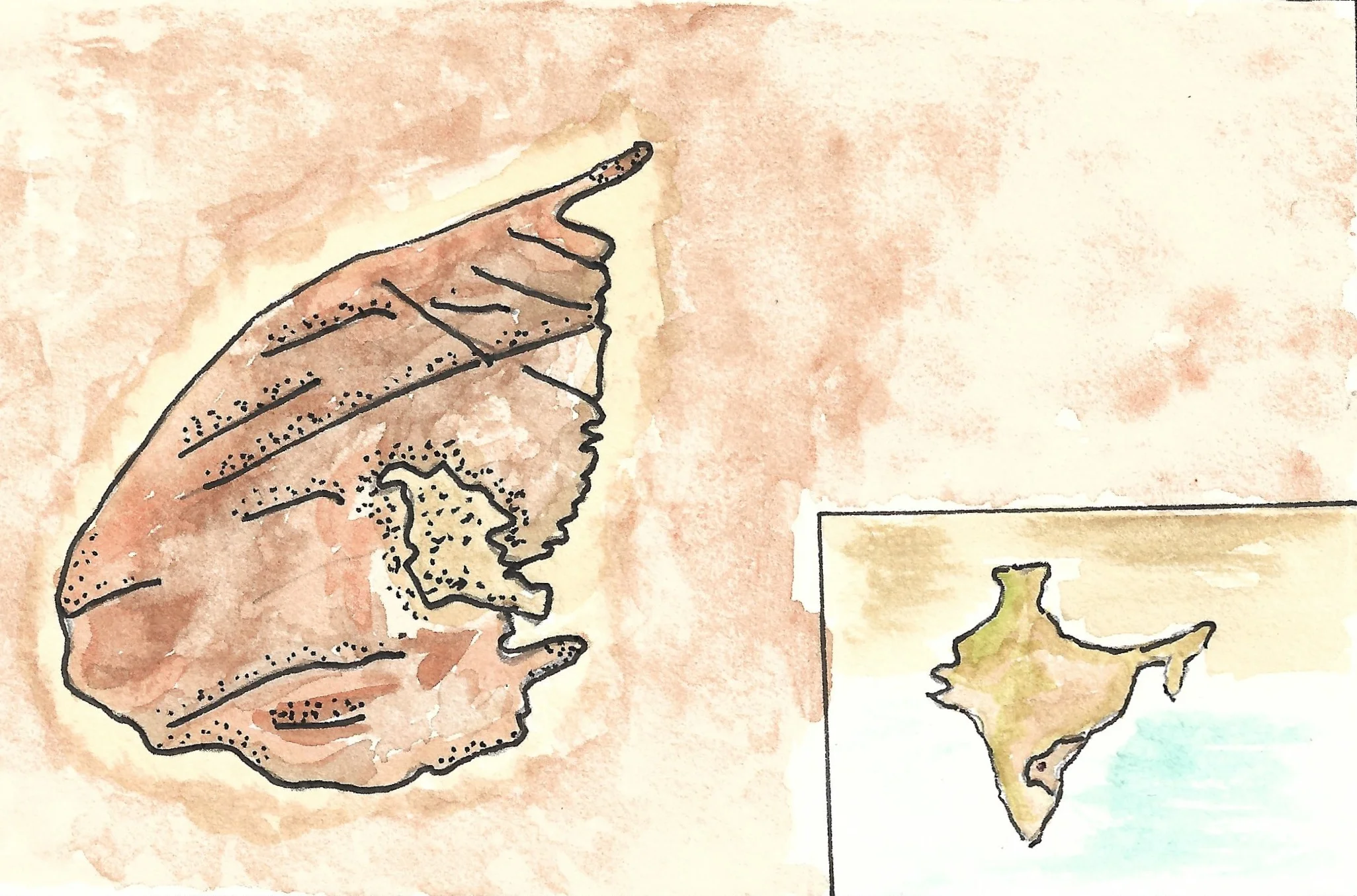 map 1.jpeg