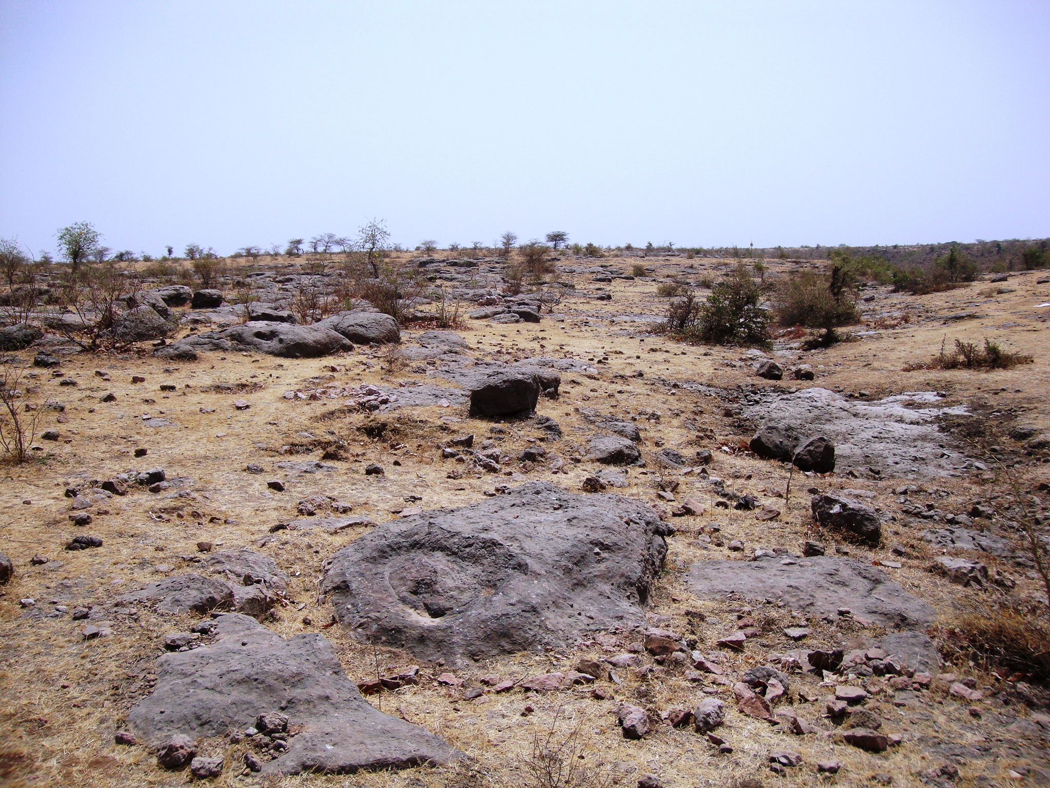The arid landscape of Dholi Dungri, speckled with rocky outcrops. (Photo courtesy: Dhananjay Mohabey)