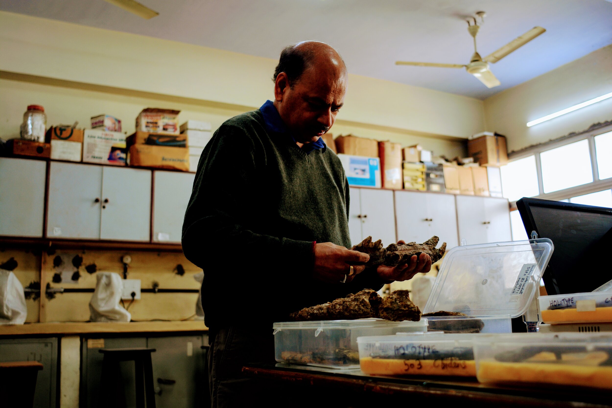 Sunil Bajpai in his lab at IIT Roorkee. Many of these fossils were found in the desert of Kutch.  