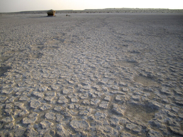 The trackway runs for over 270 metres.