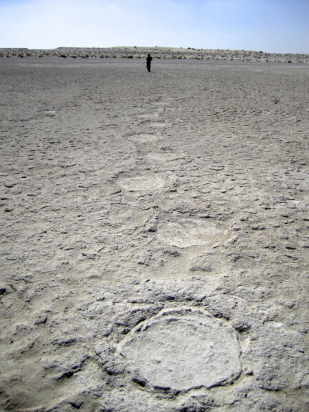 Mleissa in Abu Dabi, capital of the United Arab Emirates in West Asia, that has elephant tracks of a Stegotetrabelodon herd.