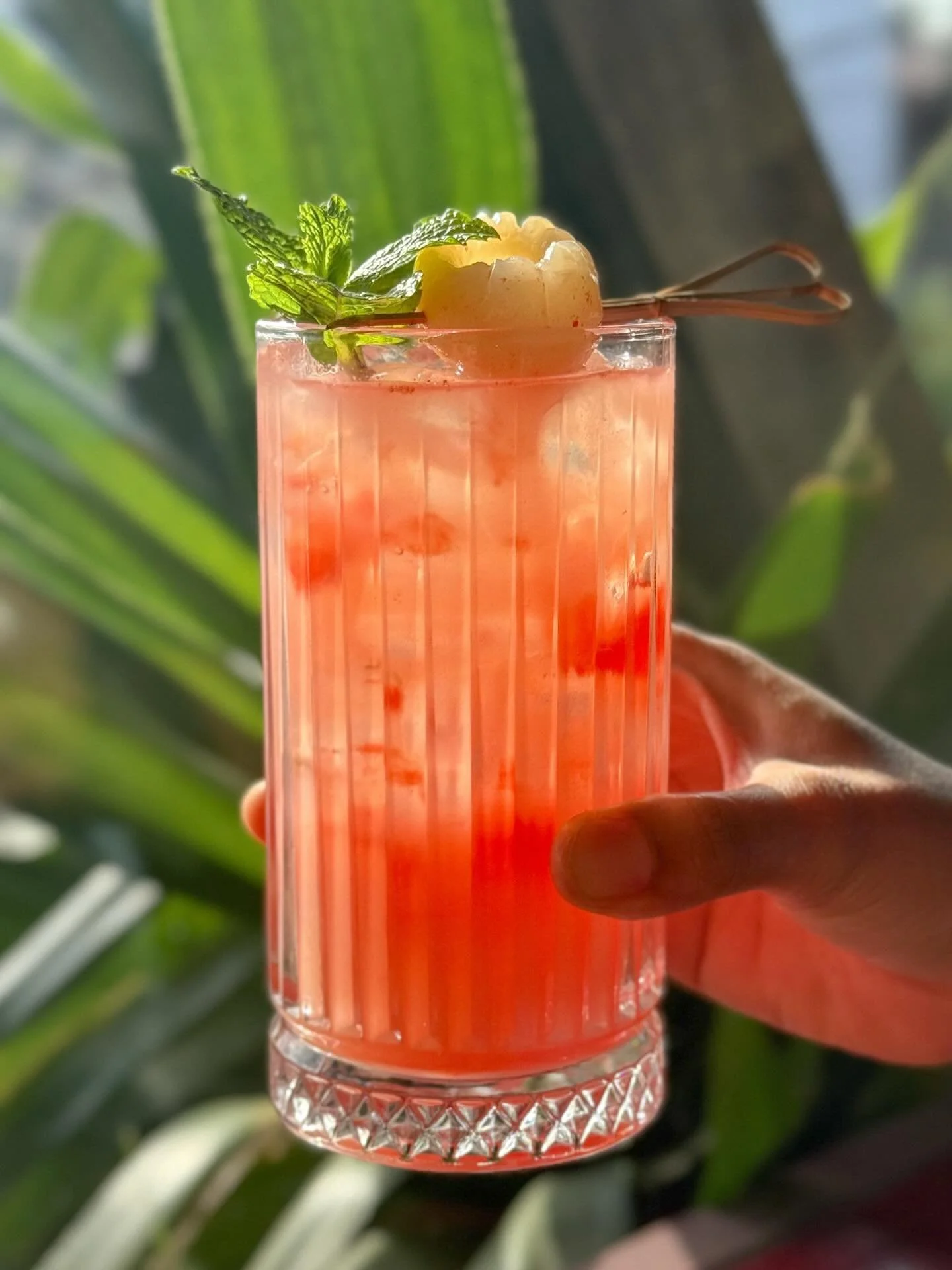 If &ldquo;refreshing&rdquo; had a flavour, this would be it 🍉✨
Meet our Fresh Coolers!🌴