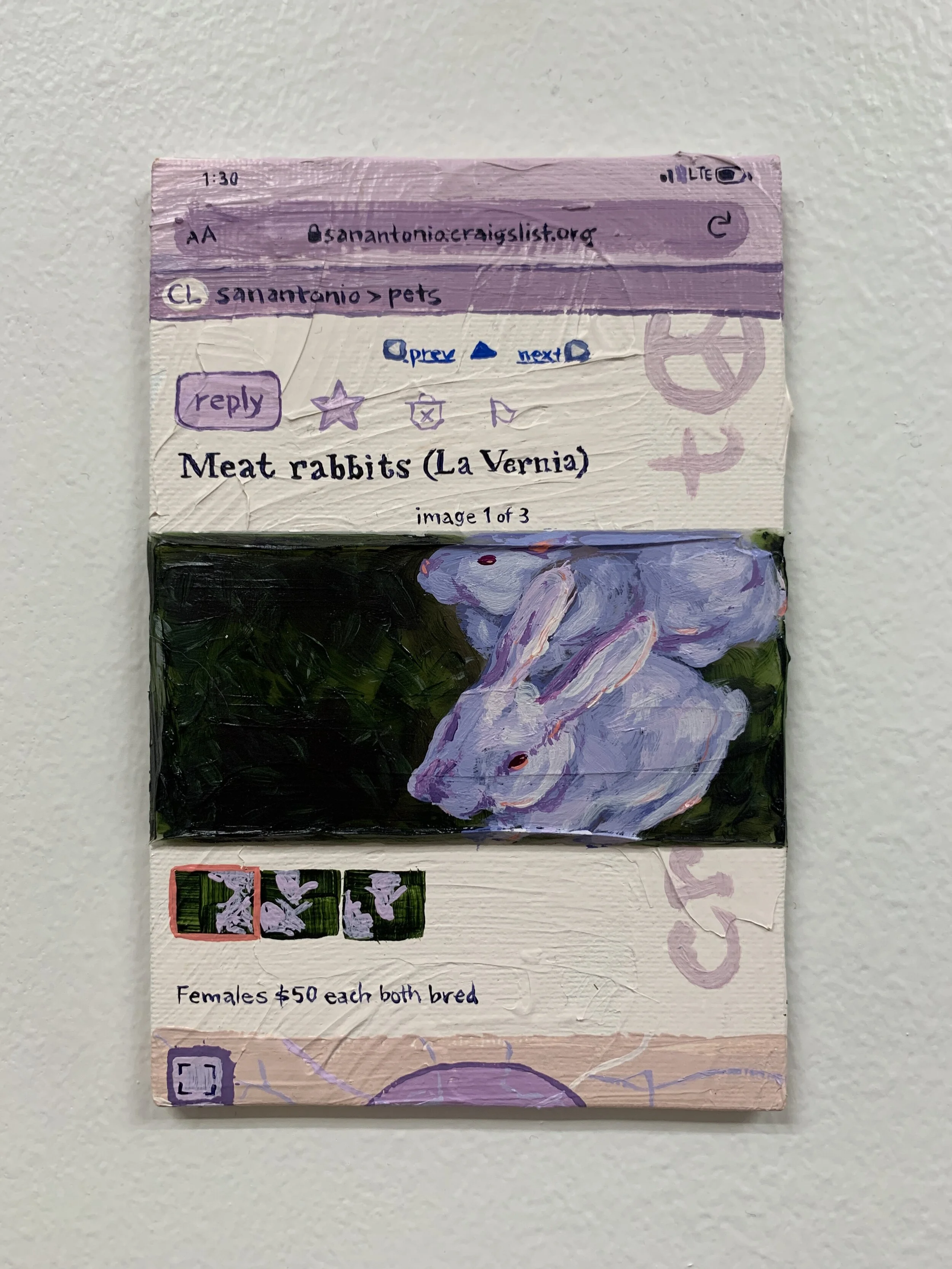 Meat Rabbits (La Vernia)