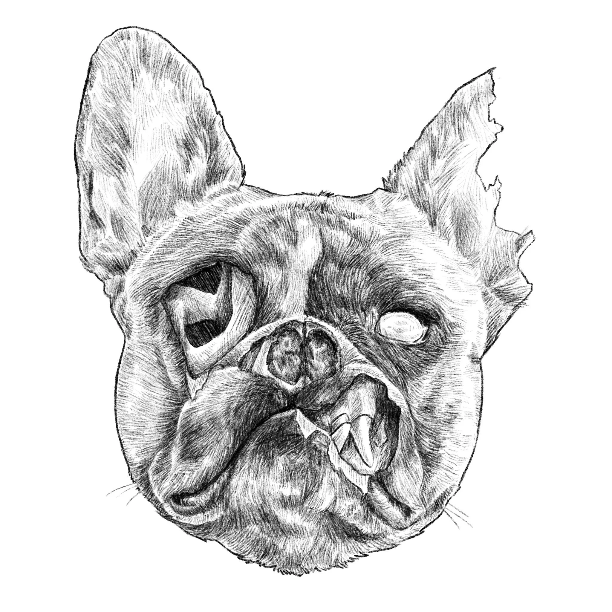 Untitled_Artwork 8.JPG