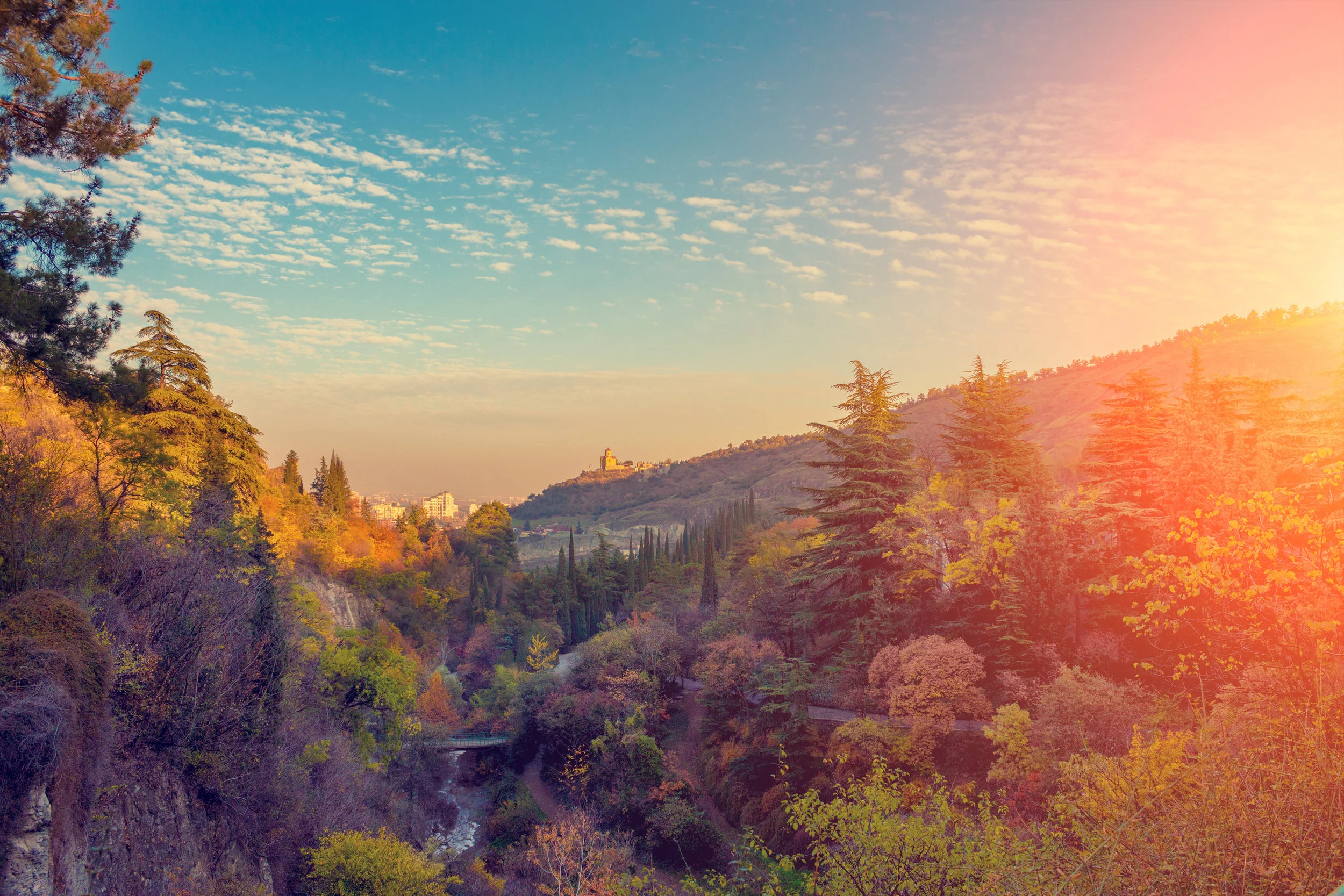 AdobeStock_206080315.jpeg