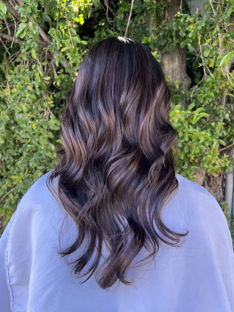 O&amp;M COR Color