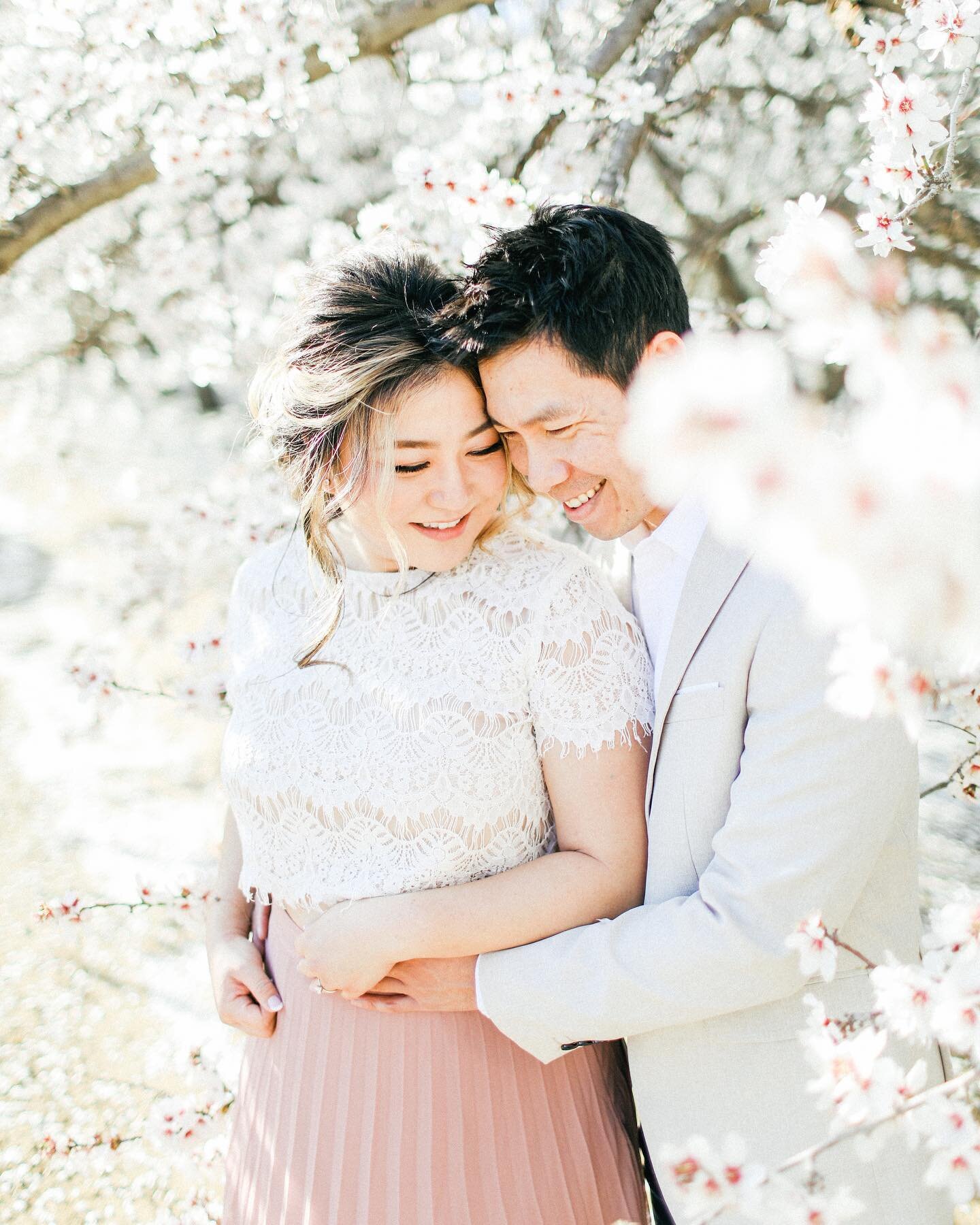 Last weekend I went out of town for the first time in a year and for such an exciting reason! Photographed a few sessions among the almond blossoms and it was pure joy. Thank you so much to the wonderful couples &amp; families who came out and especi
