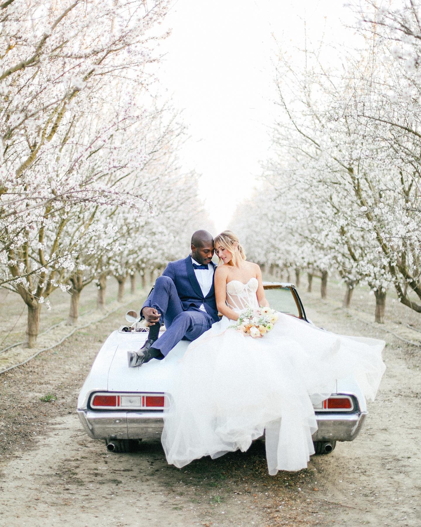 Well if this isn&rsquo;t just a dream. What an amazing experience getting to shoot this inspiration among the blossoms ❤️ // #adriennegundephotography 

By @themilkandhoneyevent
Planning &amp; Design: @ribbonandleaf
Venue: @westwoodbarns
Host photogr